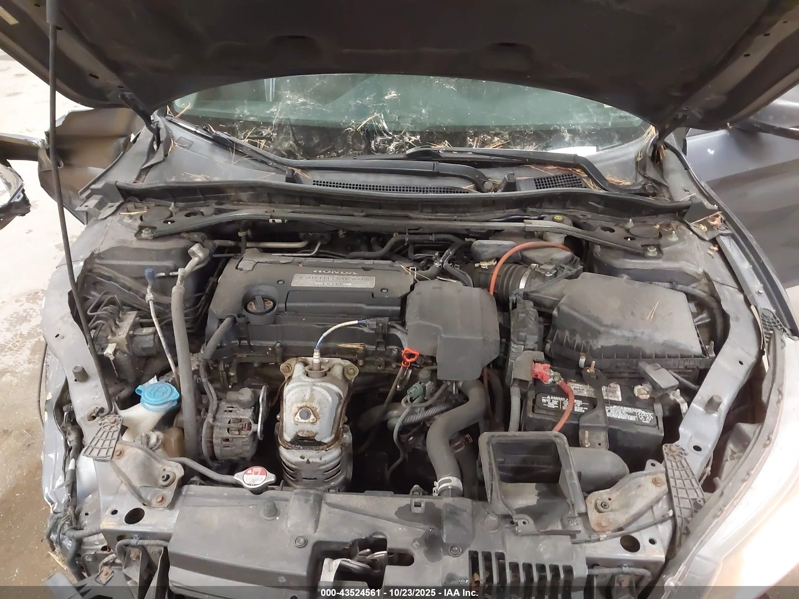 HONDA ACCORD image 10