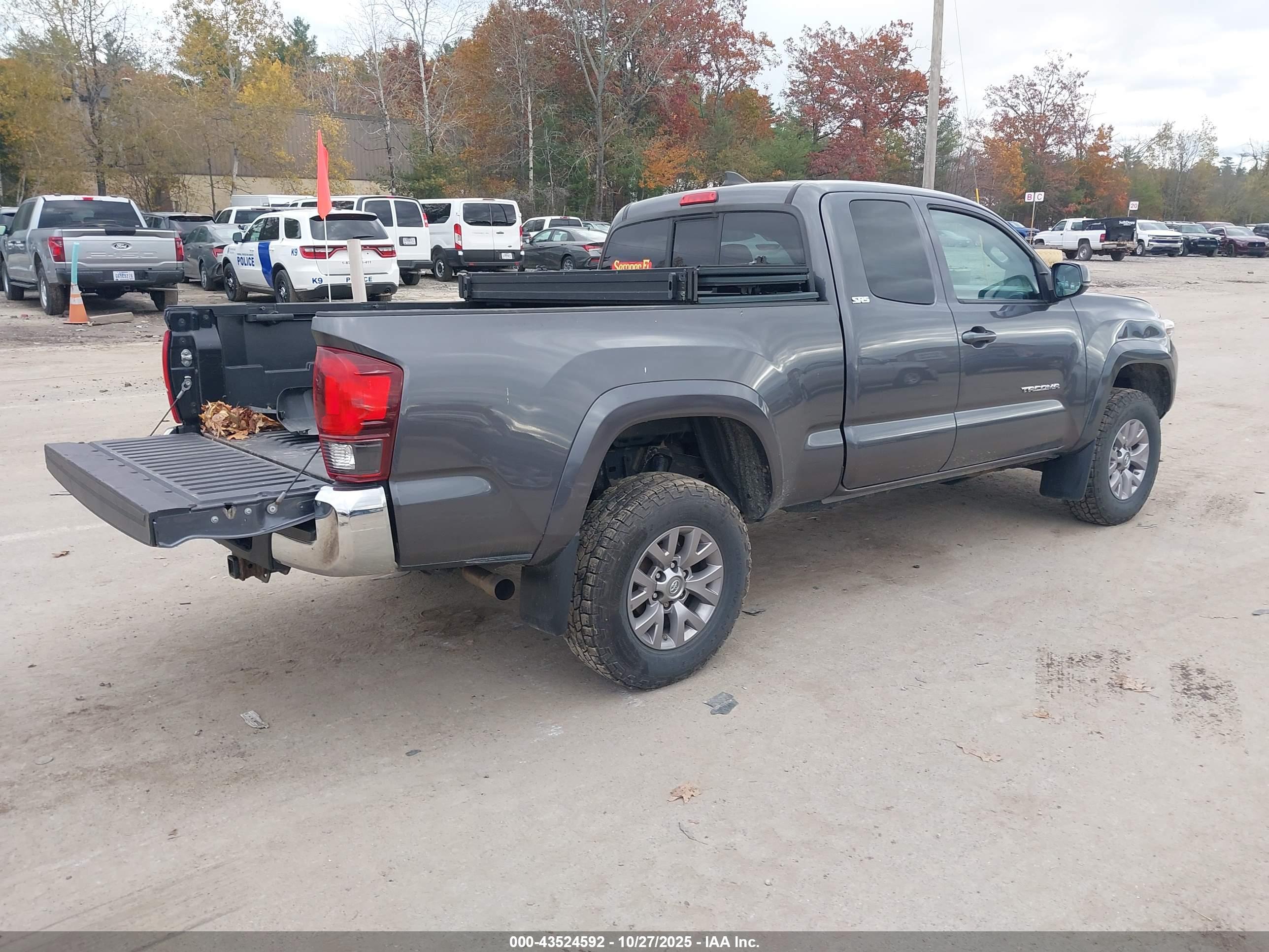 TOYOTA TACOMA image 4