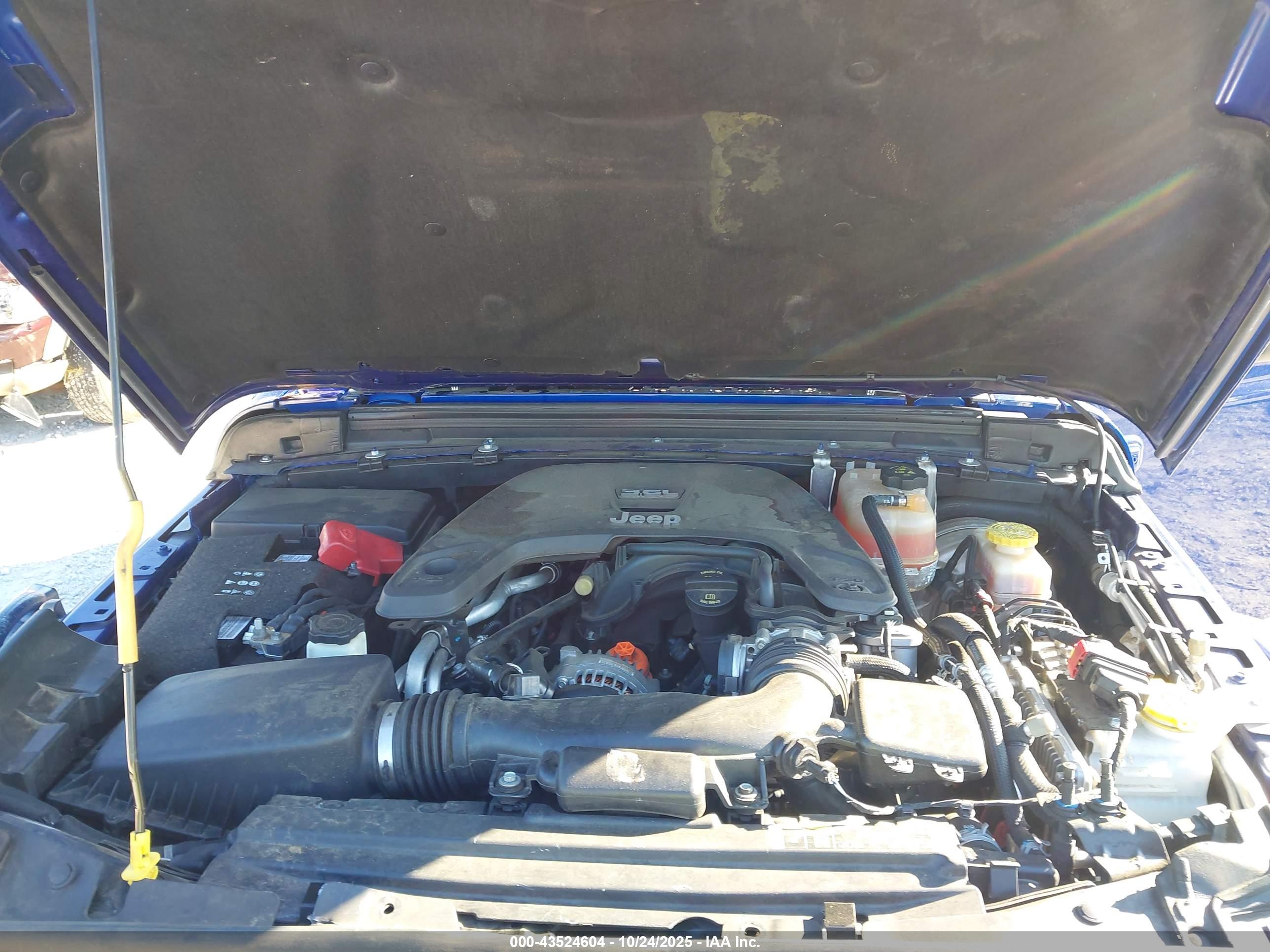 JEEP WRANGLER image 10