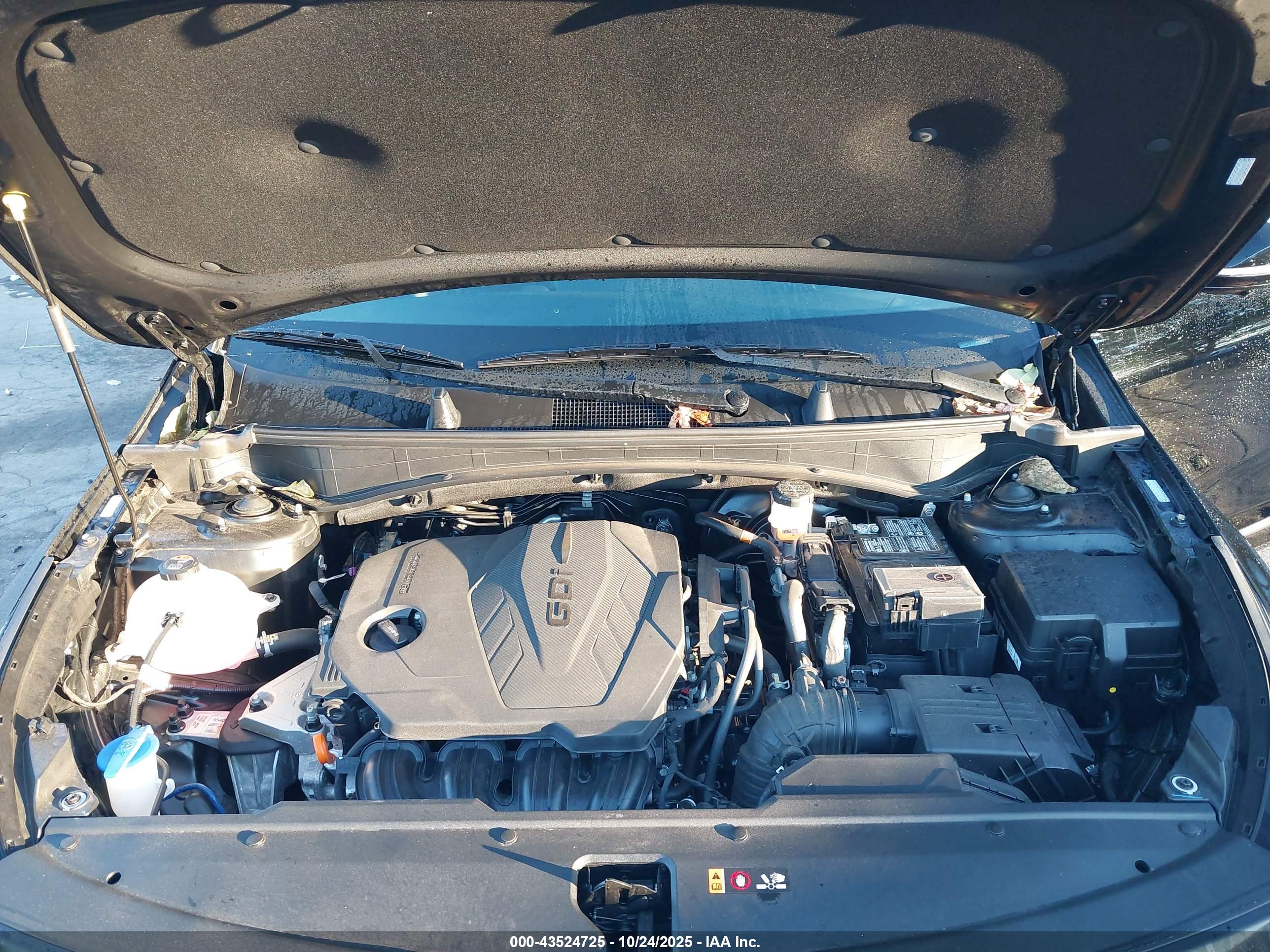 KIA SPORTAGE image 10