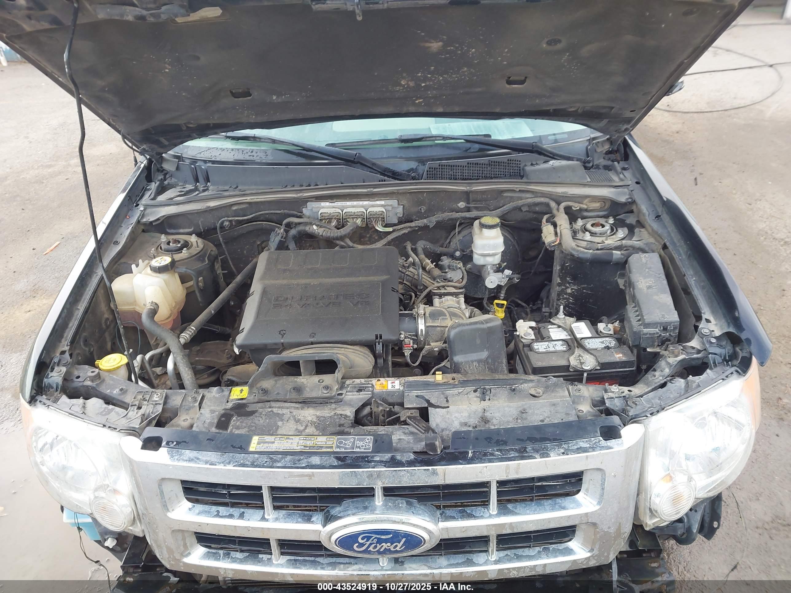 FORD ESCAPE image 10