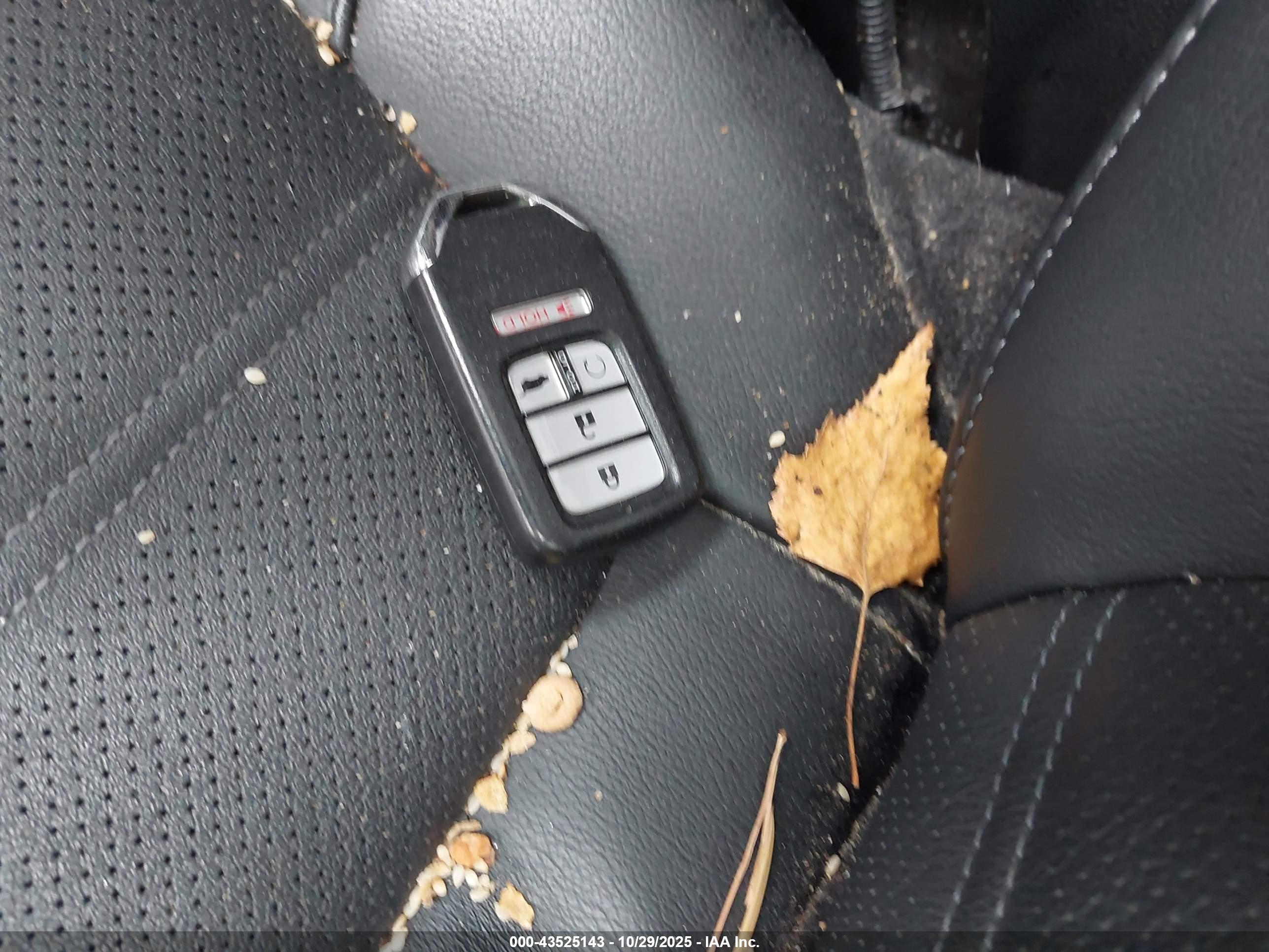 HONDA CR-V image 11