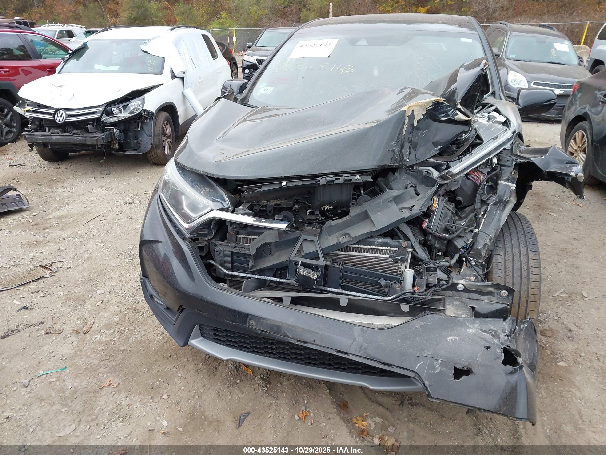 HONDA CR-V image 6