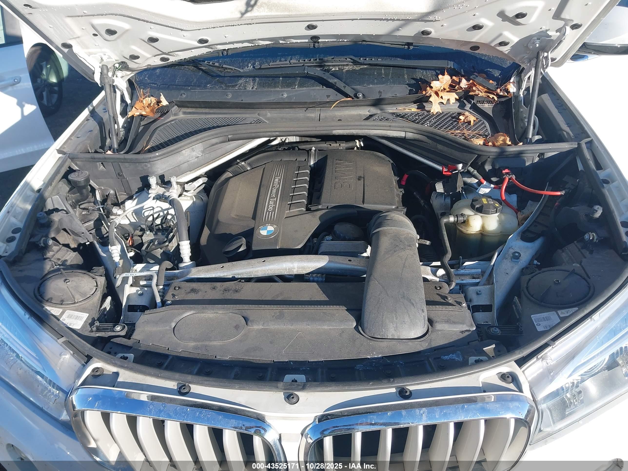 BMW X5 image 10