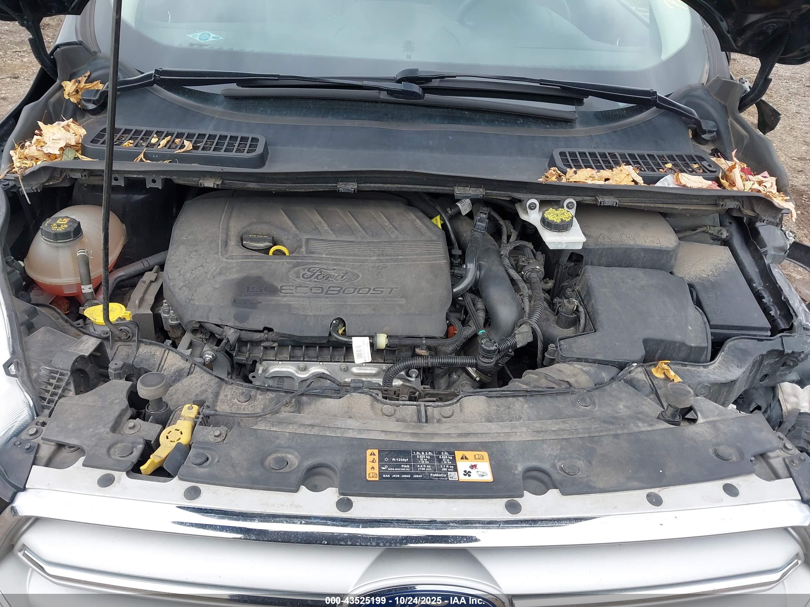 FORD ESCAPE image 10