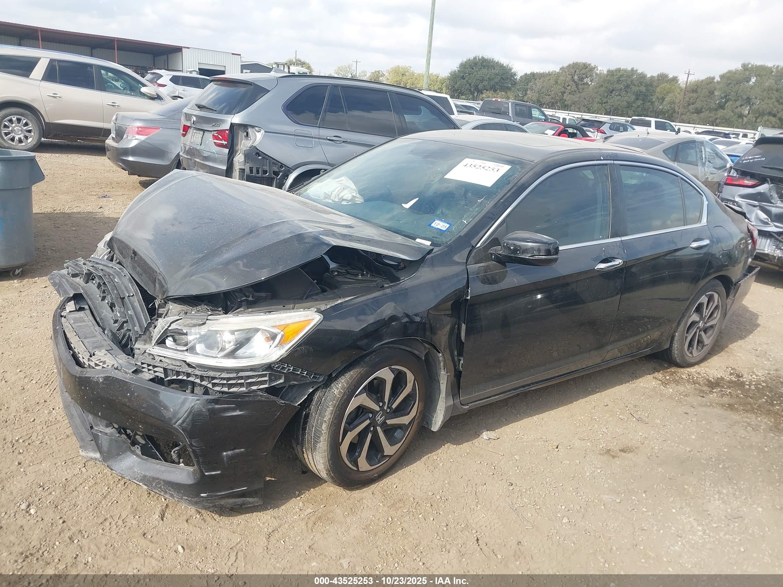 HONDA ACCORD image 2