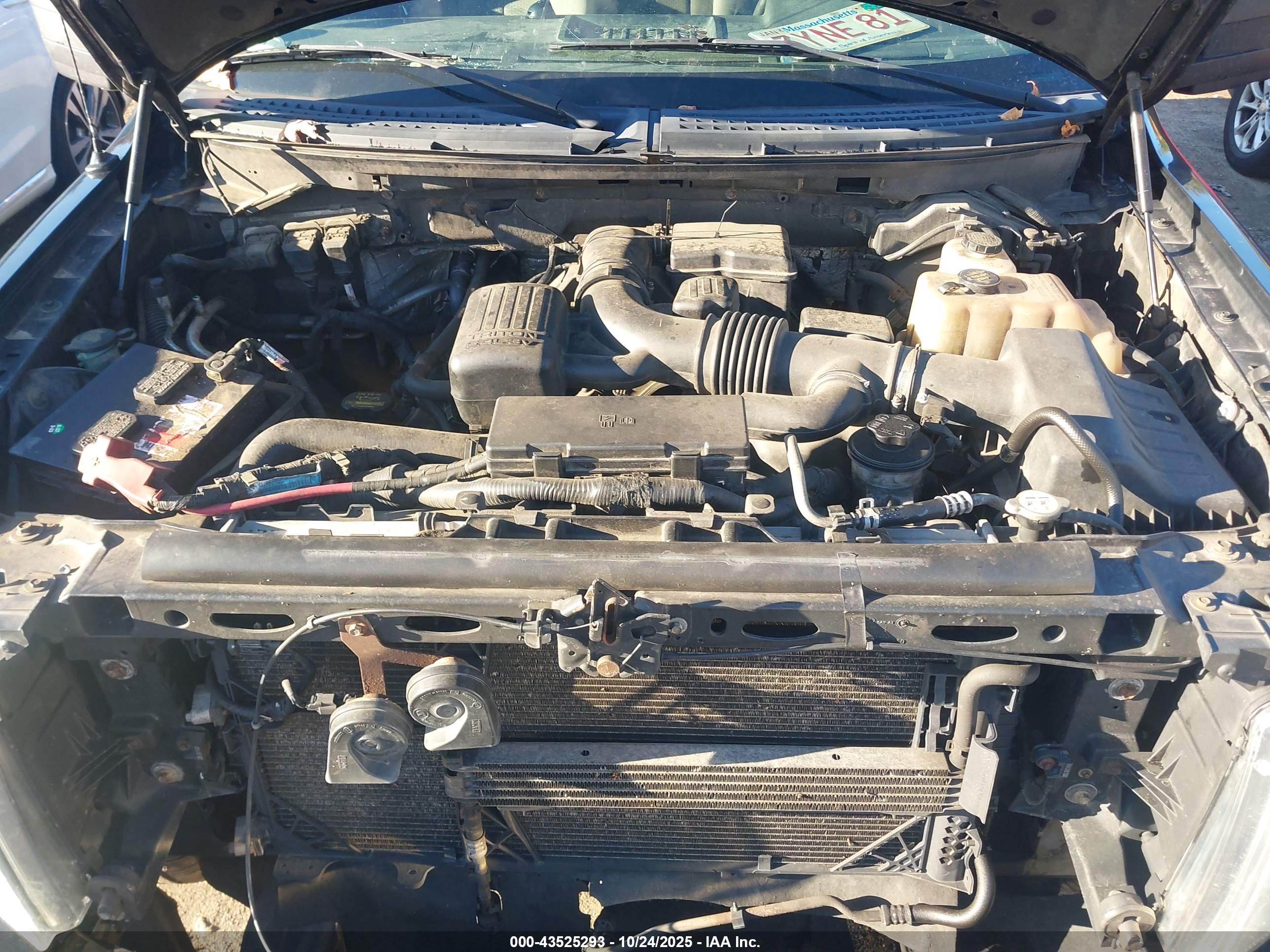 FORD F-150 image 10