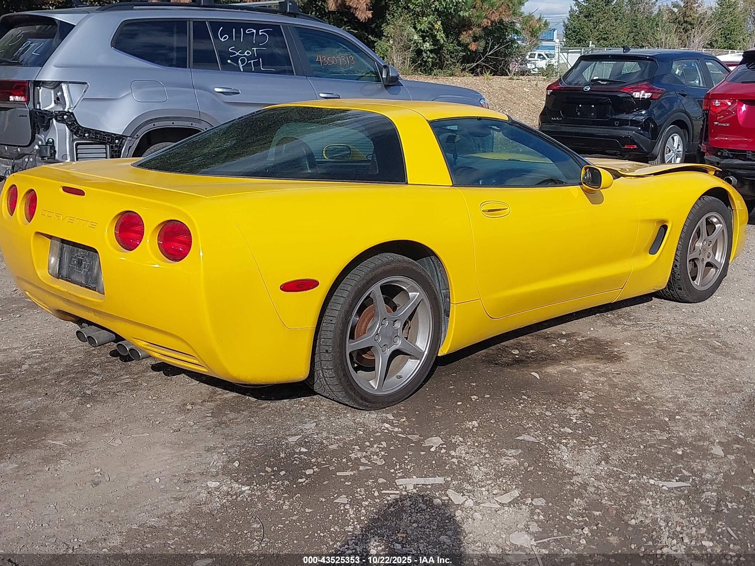 CHEVROLET CORVETTE image 4