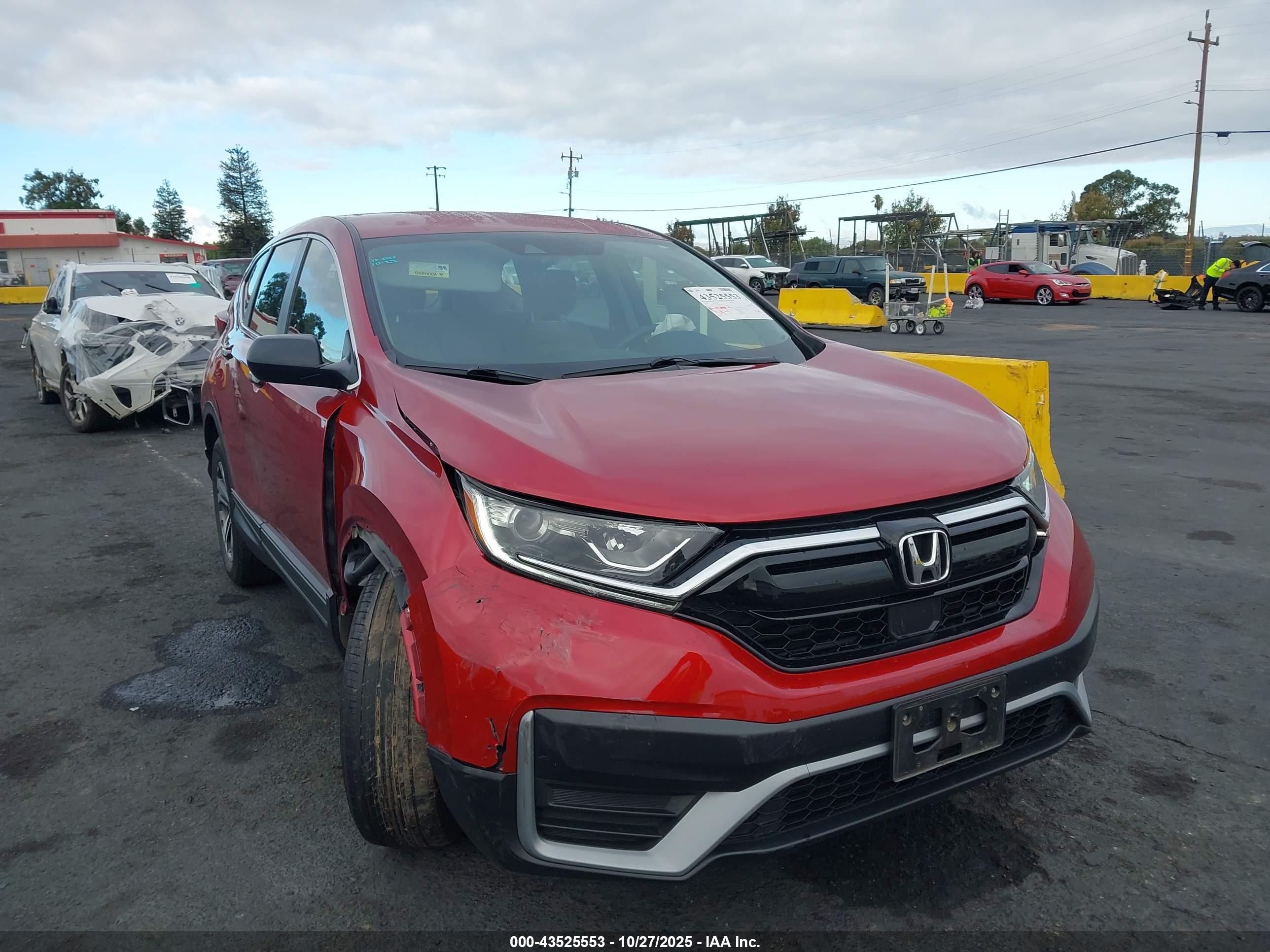 HONDA CR-V image 6