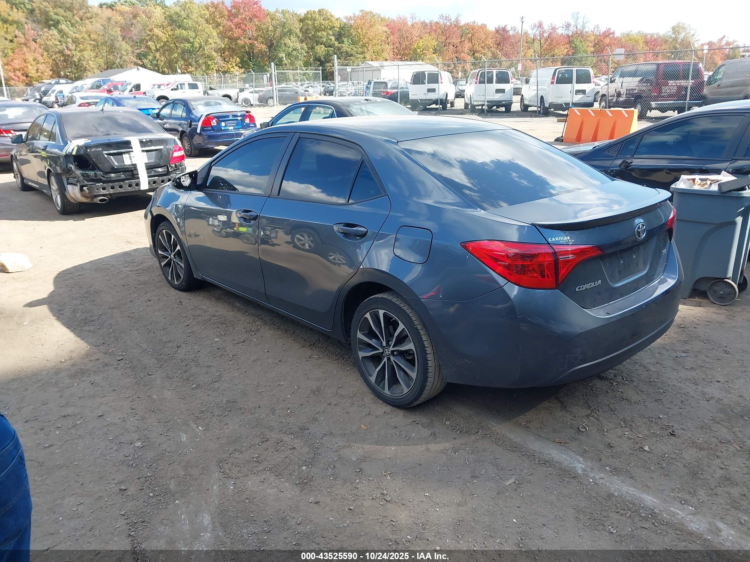 TOYOTA COROLLA image 3