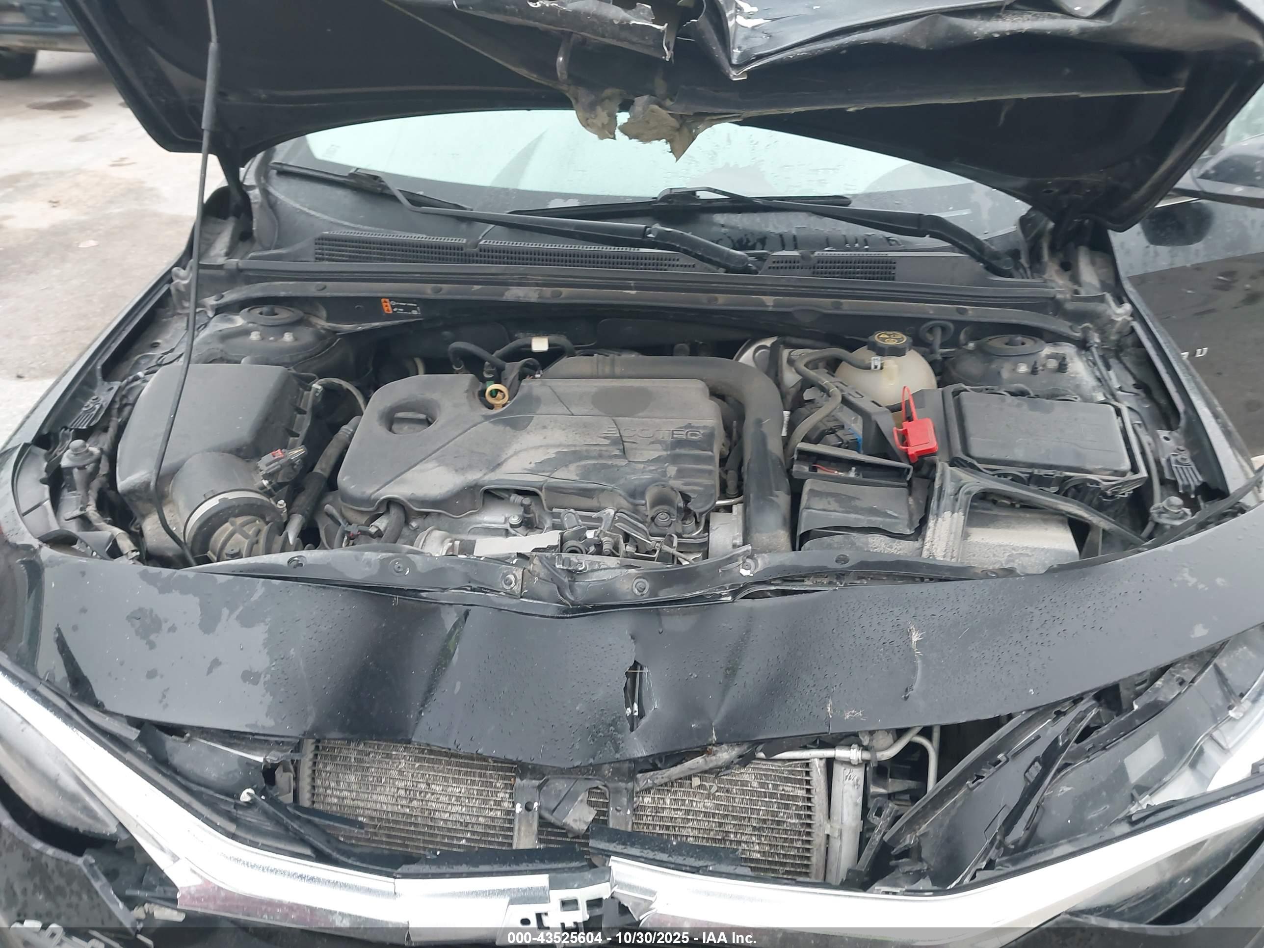 CHEVROLET MALIBU image 10