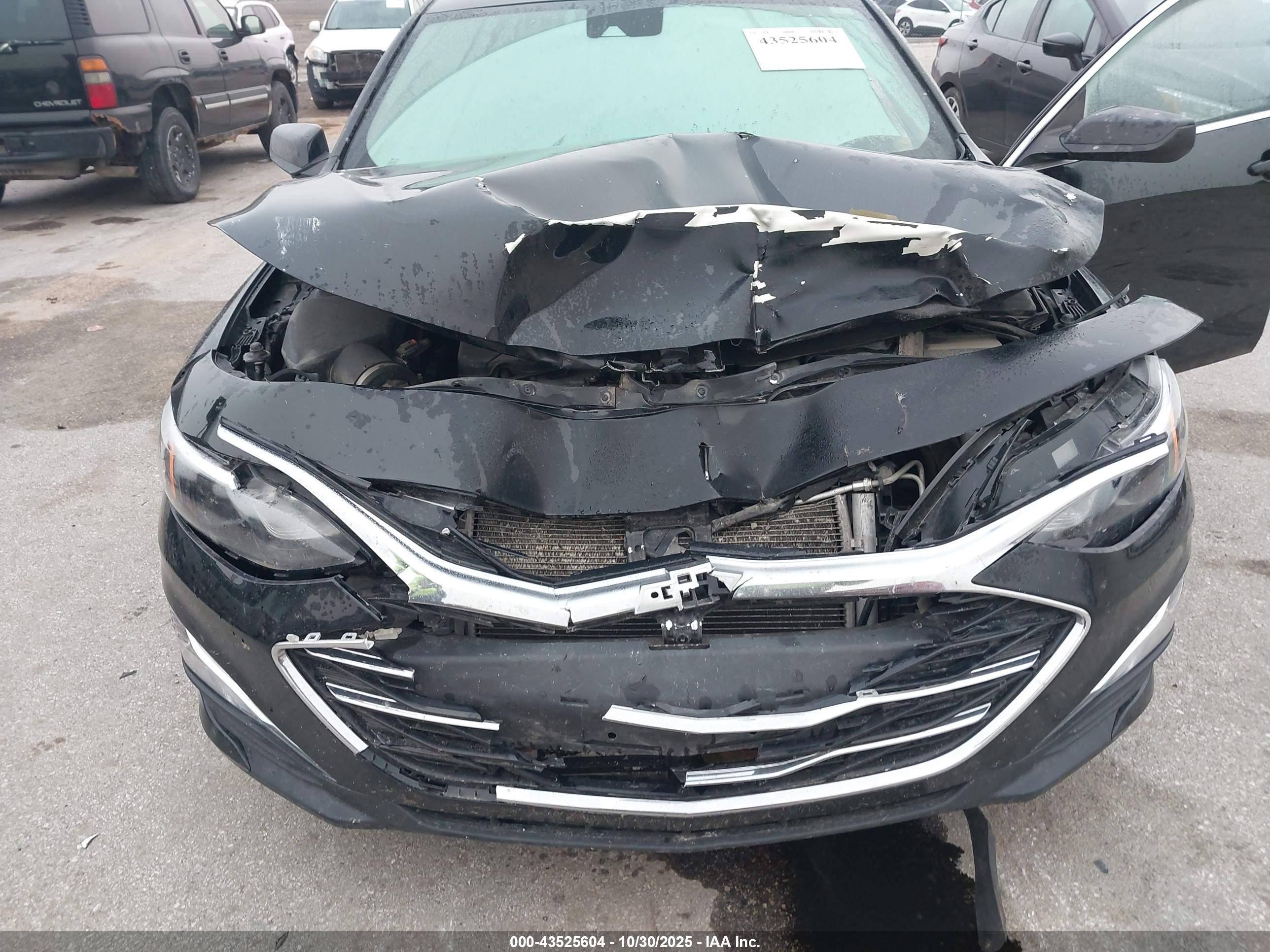 CHEVROLET MALIBU image 6