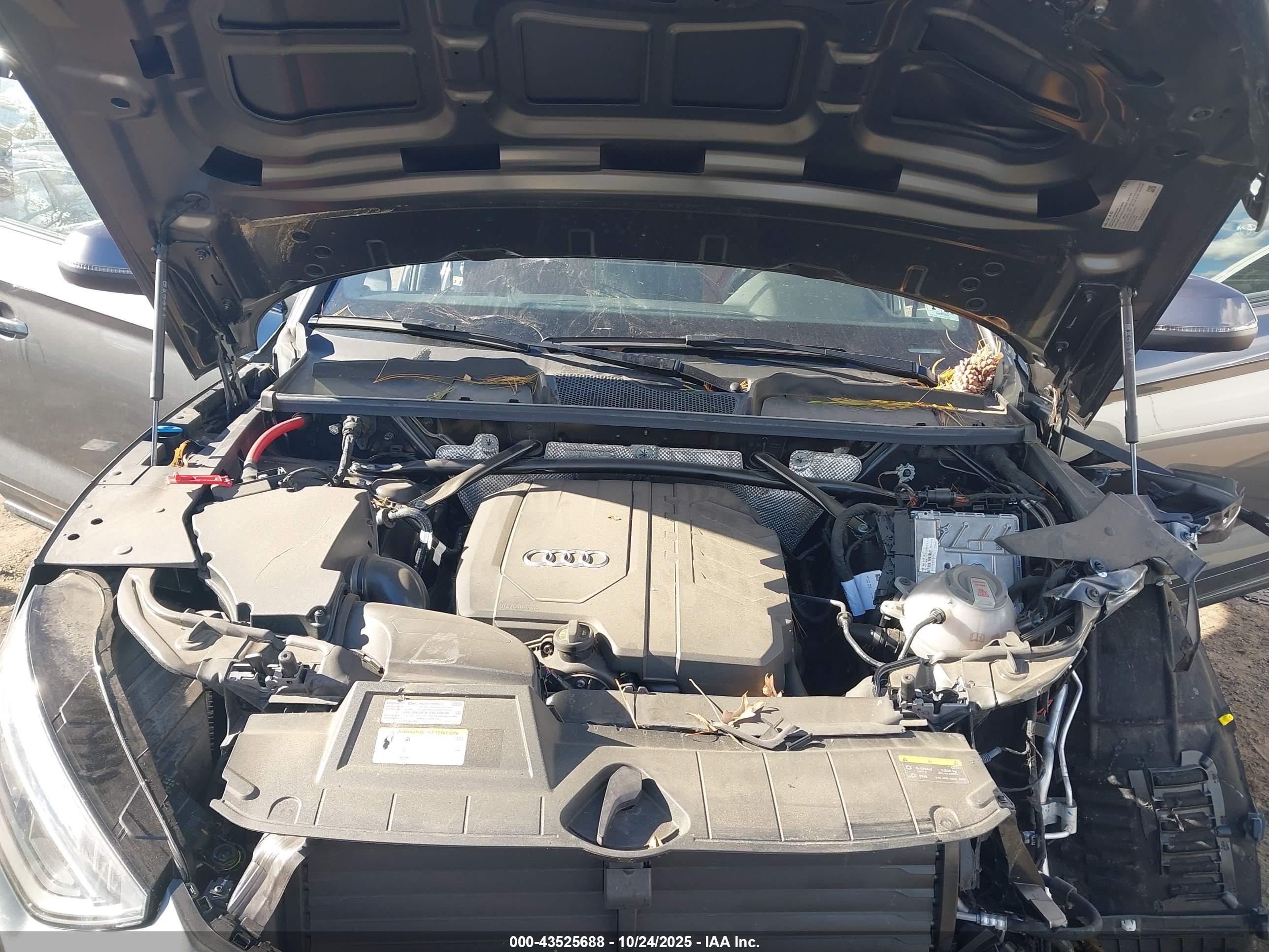 AUDI Q5 image 10