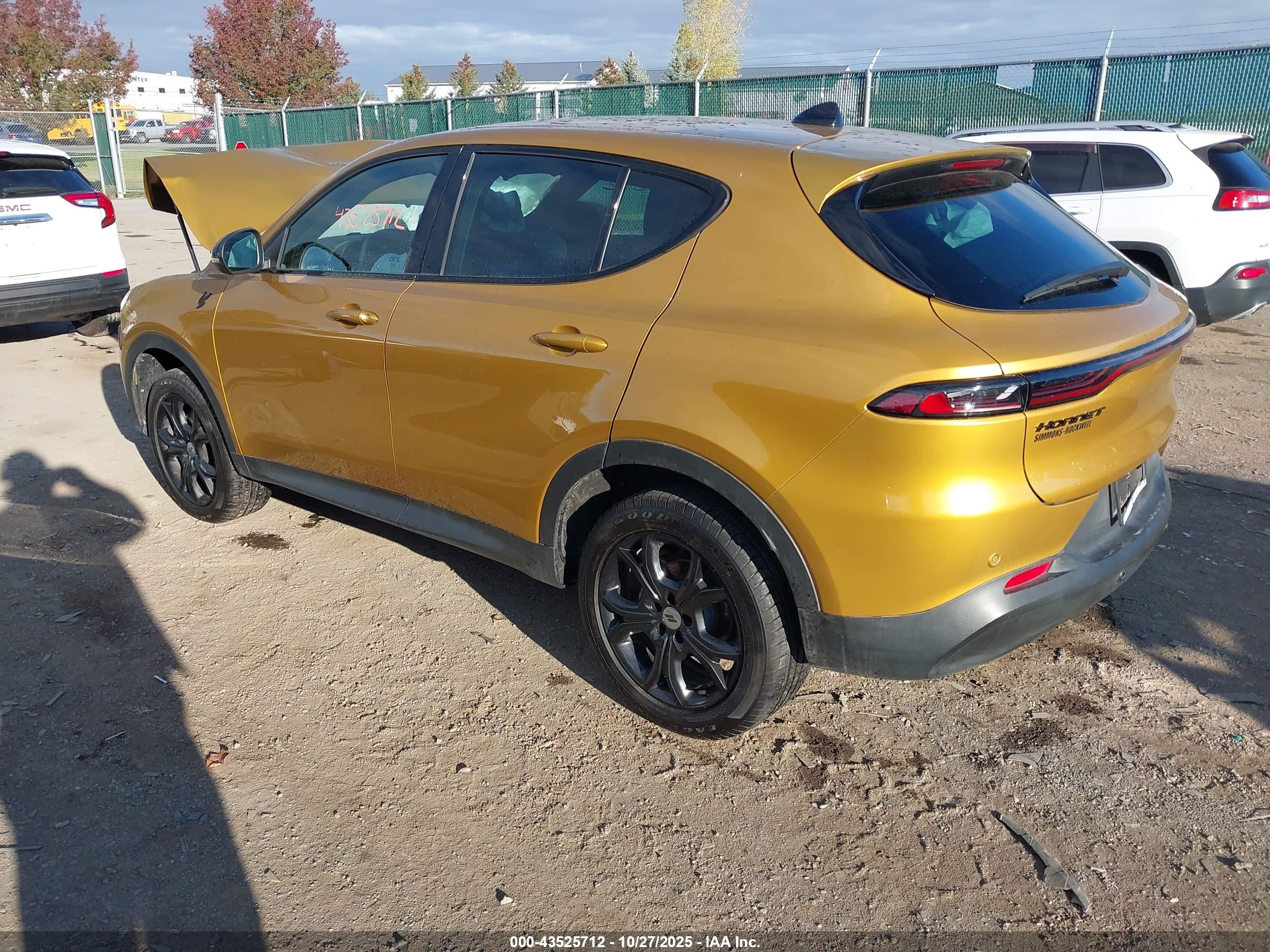 DODGE HORNET image 3