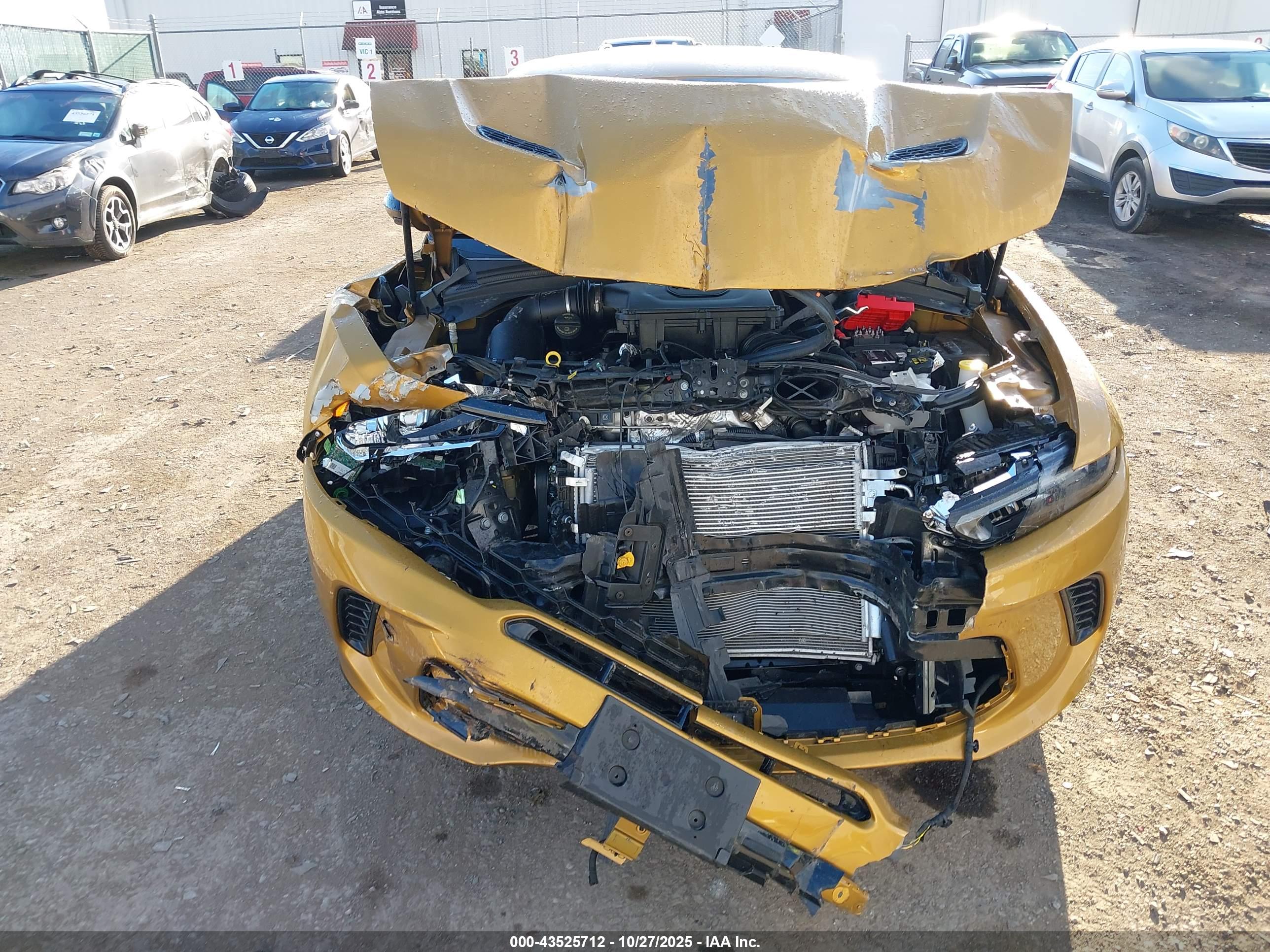 DODGE HORNET image 6