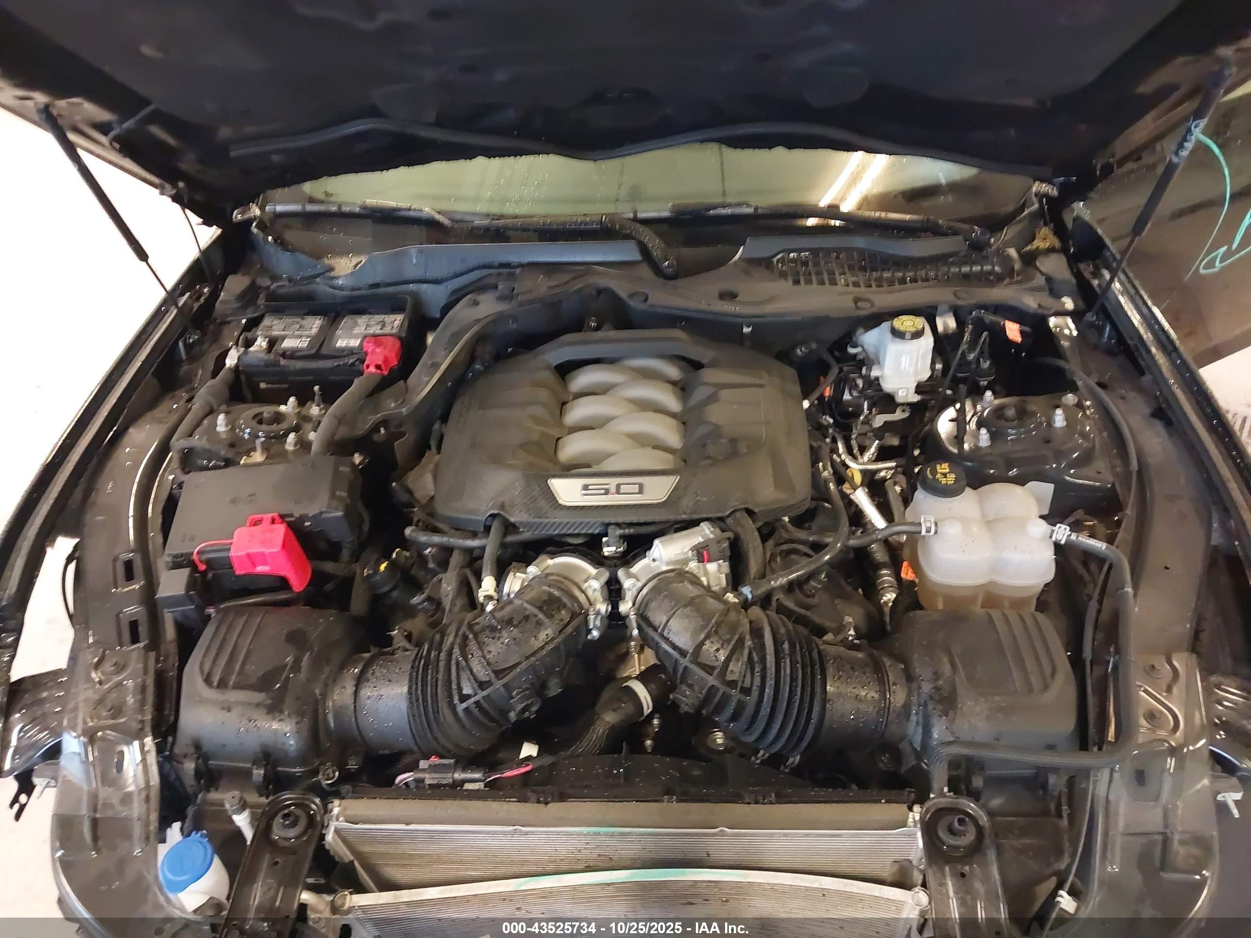 FORD MUSTANG image 10