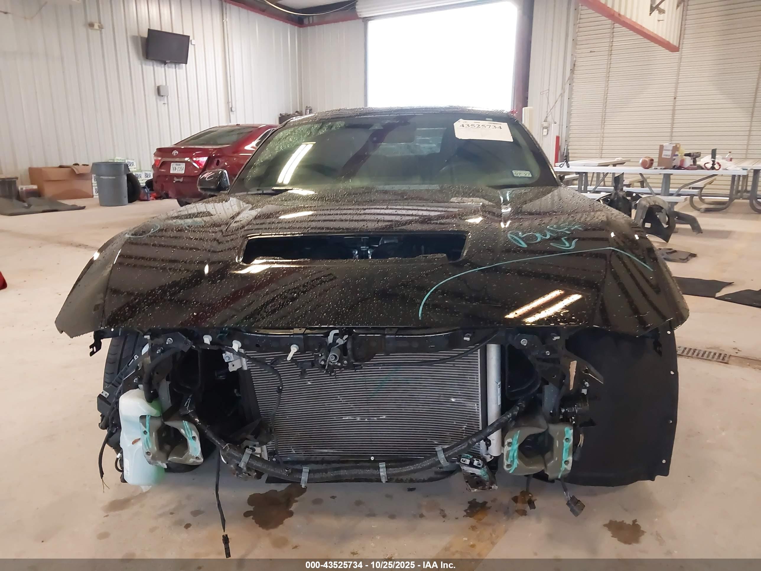 FORD MUSTANG image 6