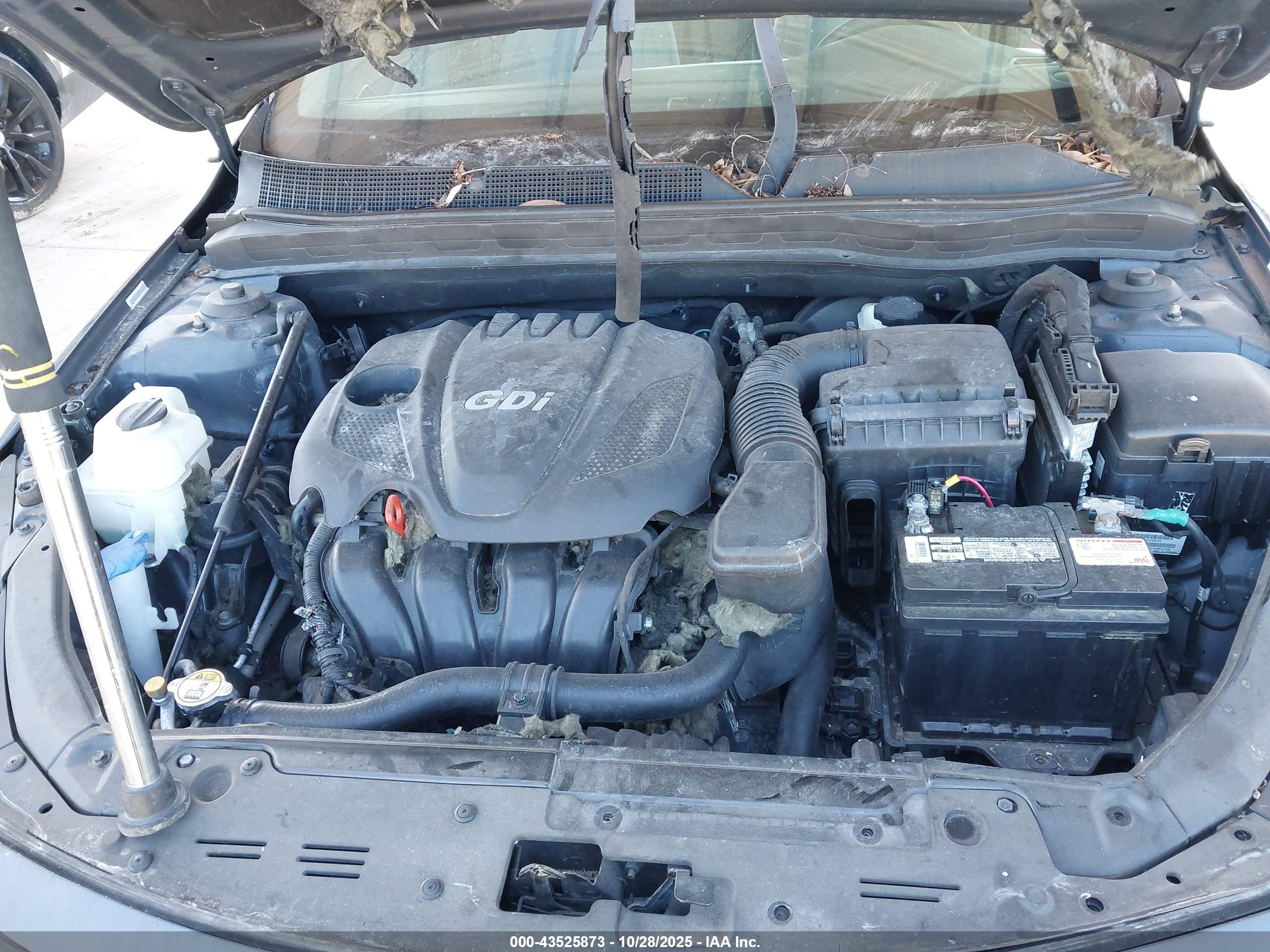 KIA OPTIMA image 10