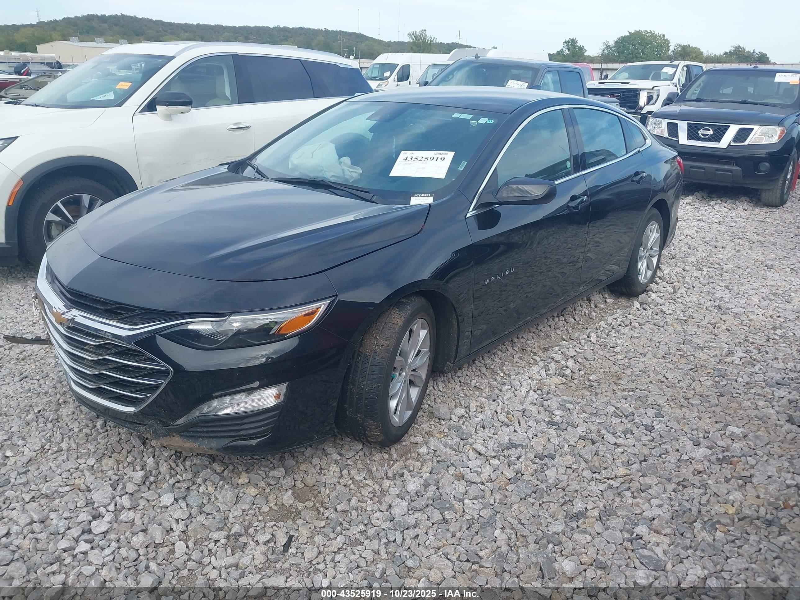 CHEVROLET MALIBU image 2