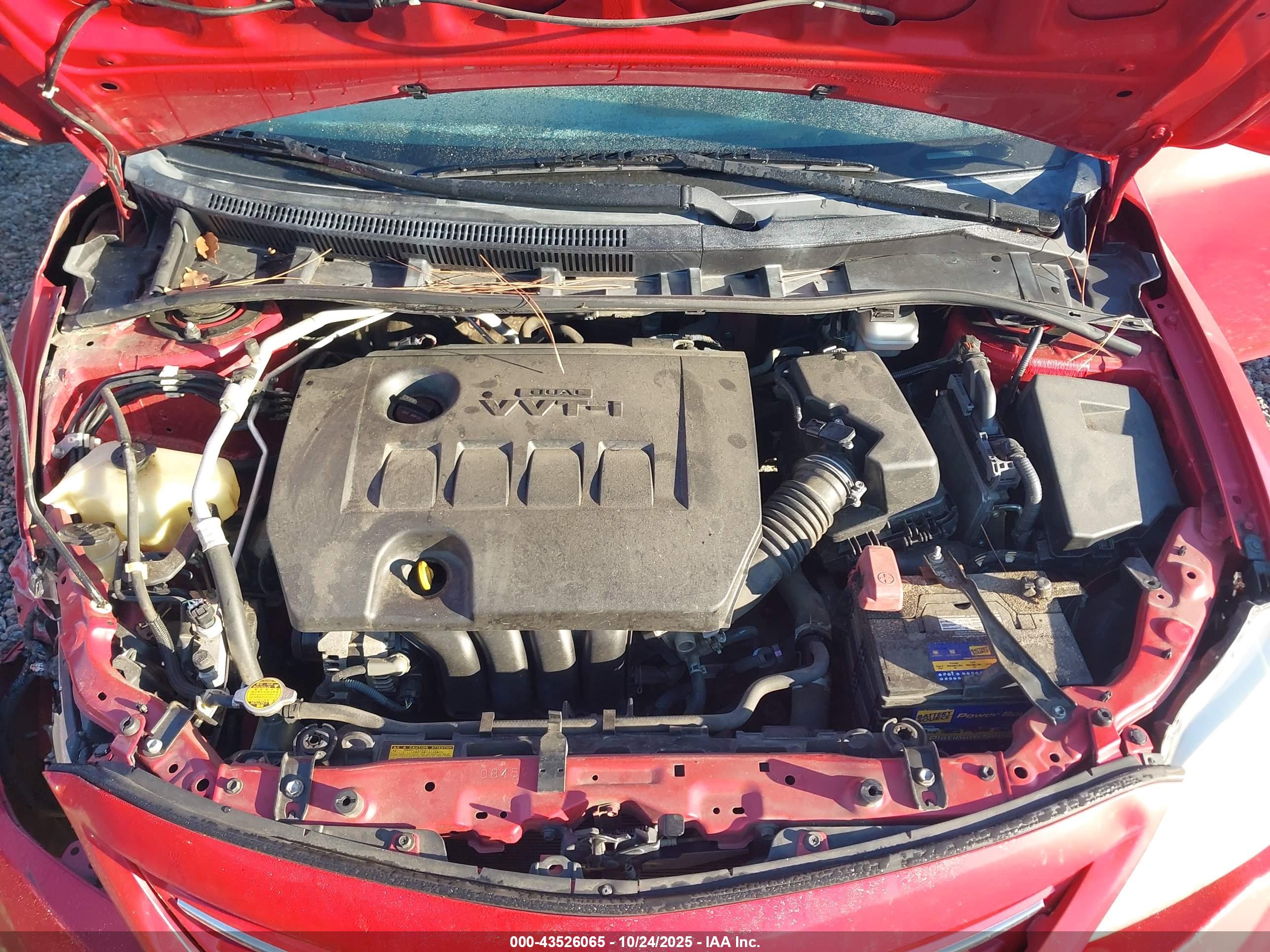 TOYOTA COROLLA image 10