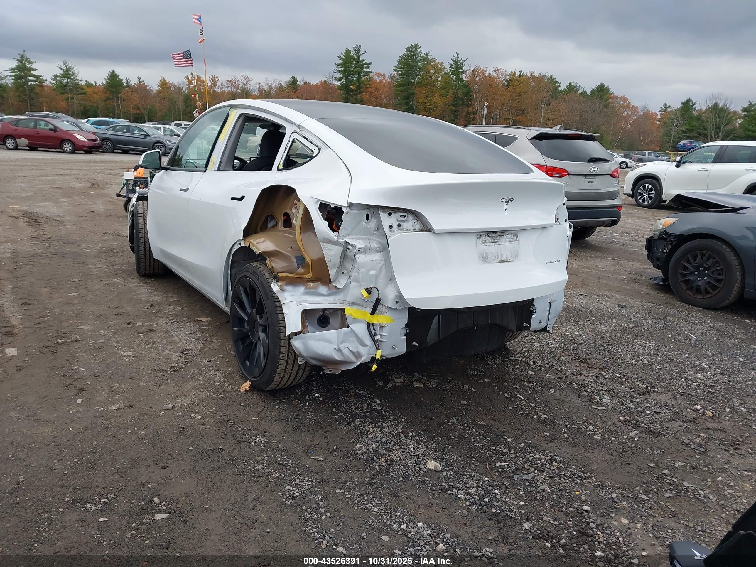 TESLA MODEL image 3