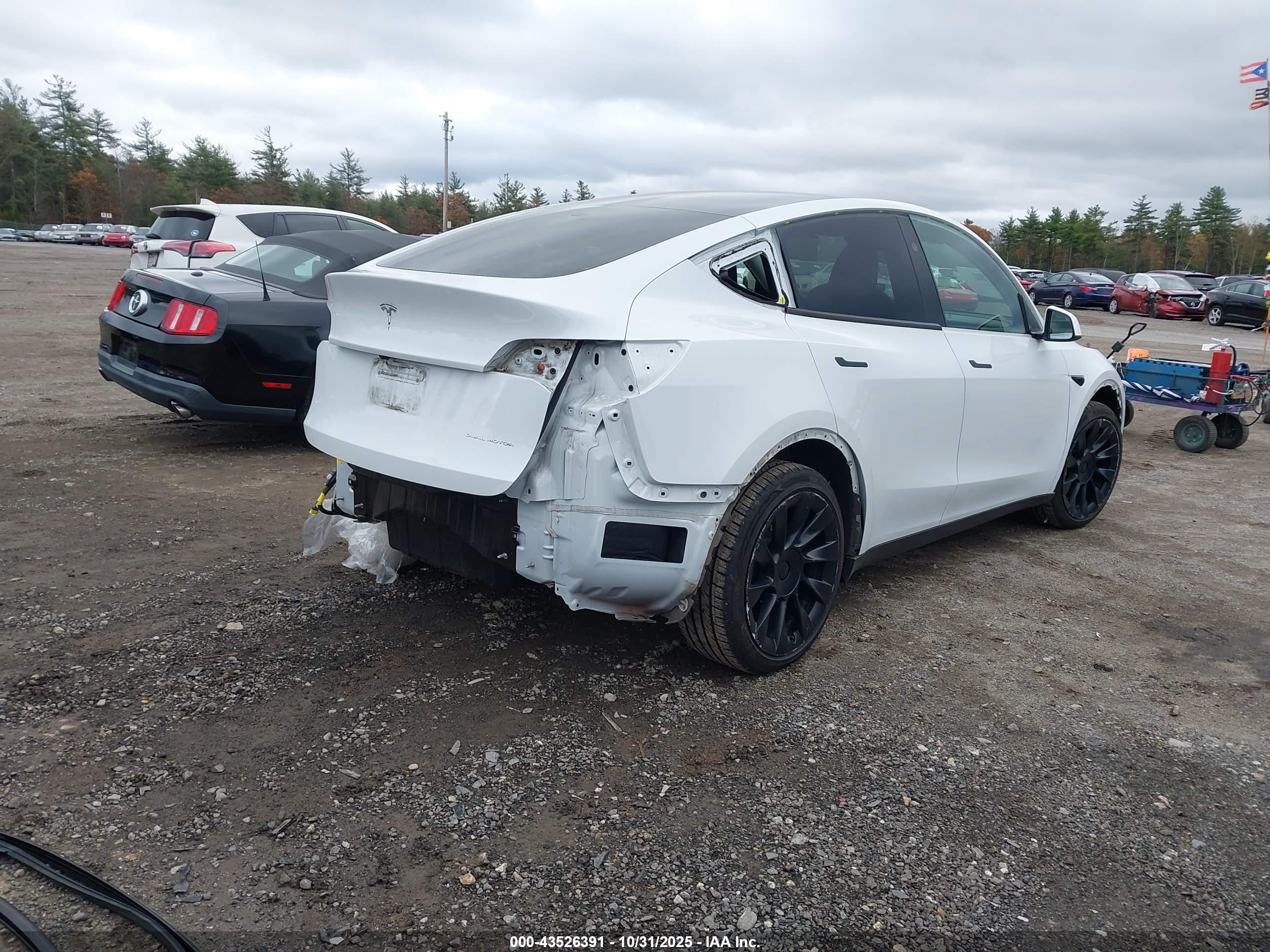 TESLA MODEL image 4