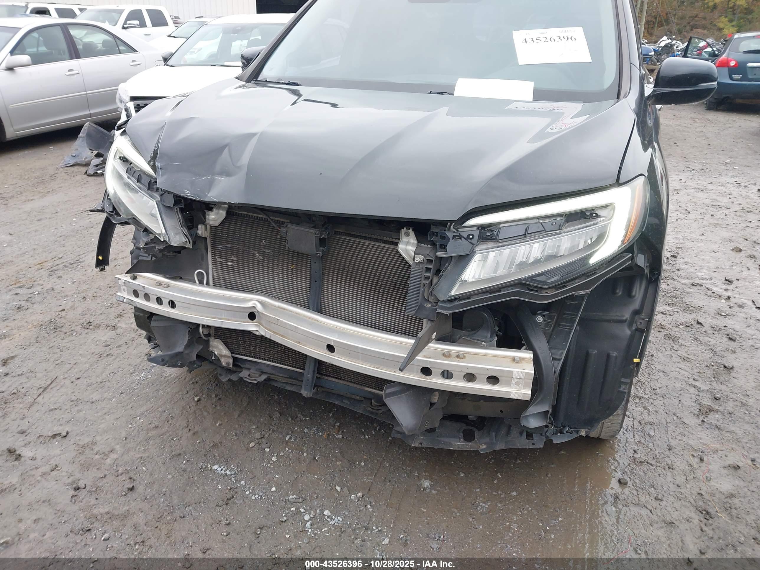 HONDA PILOT image 6
