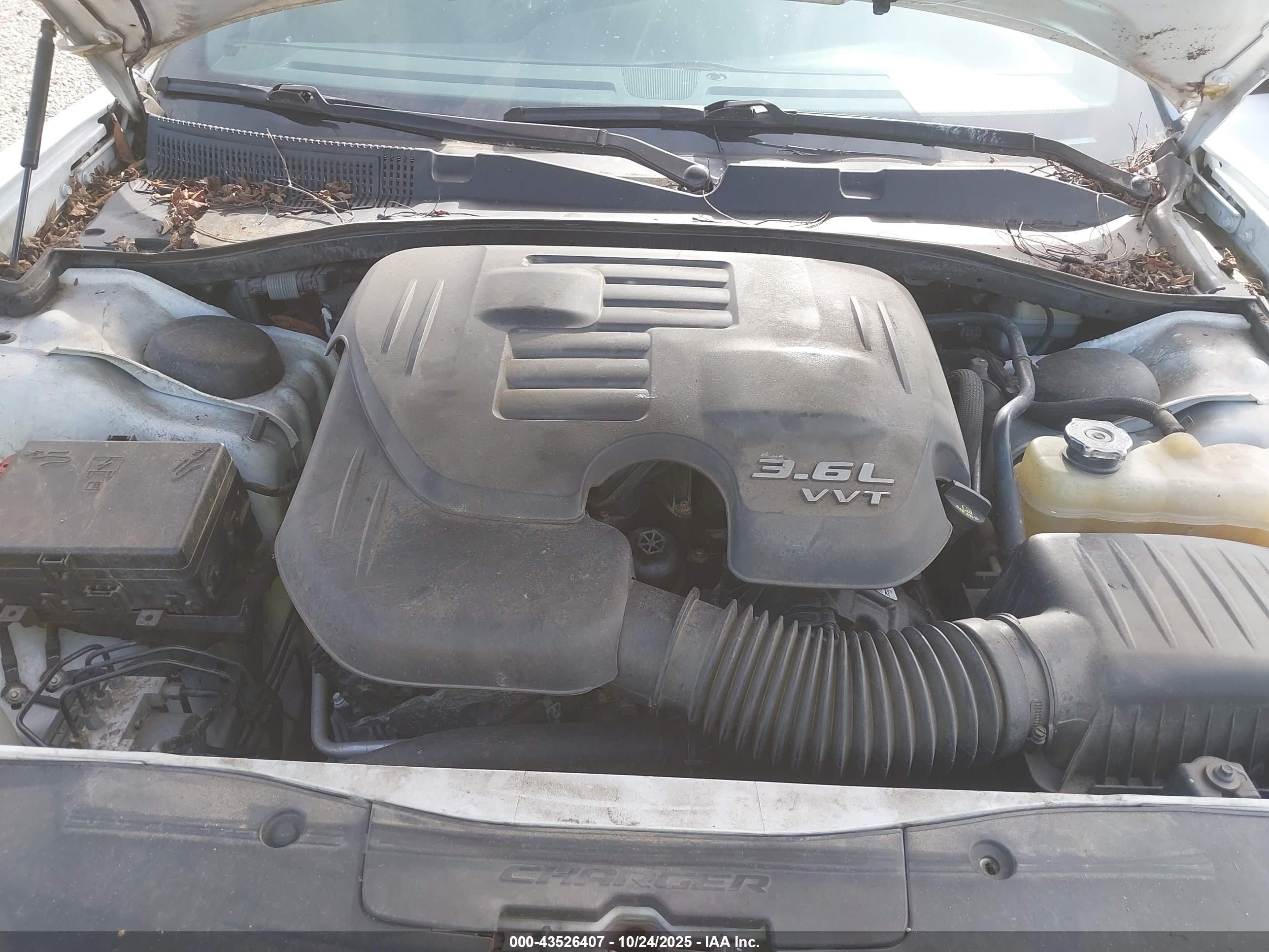 DODGE CHARGER image 10