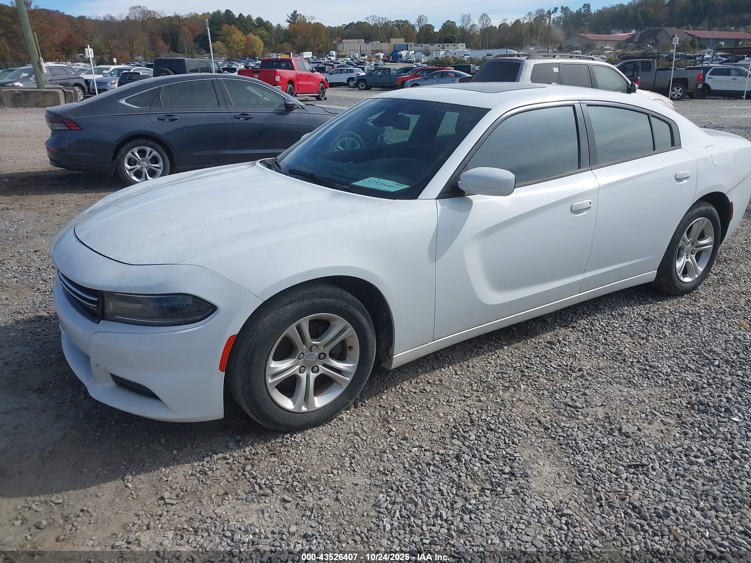 DODGE CHARGER image 2