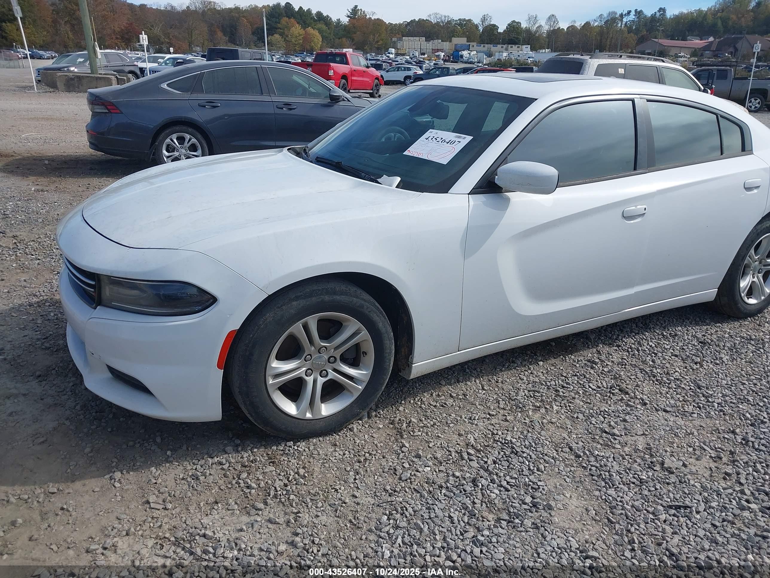 DODGE CHARGER image 6