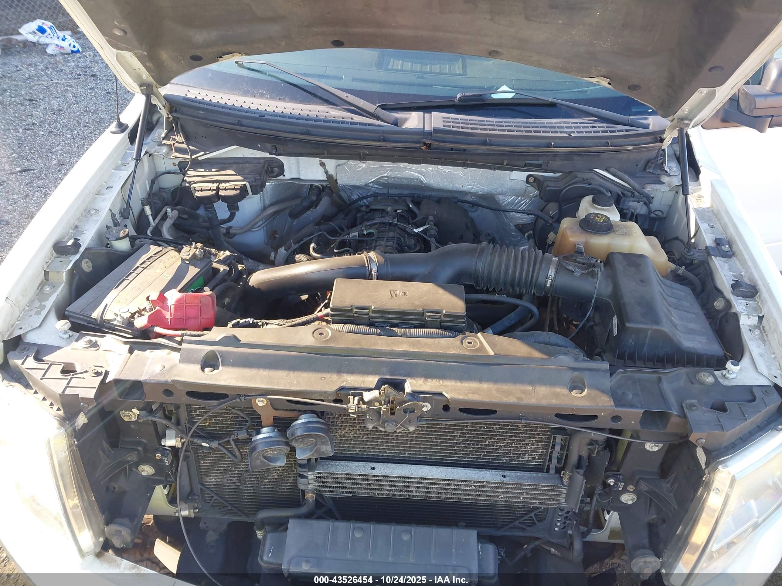 FORD F-150 image 10