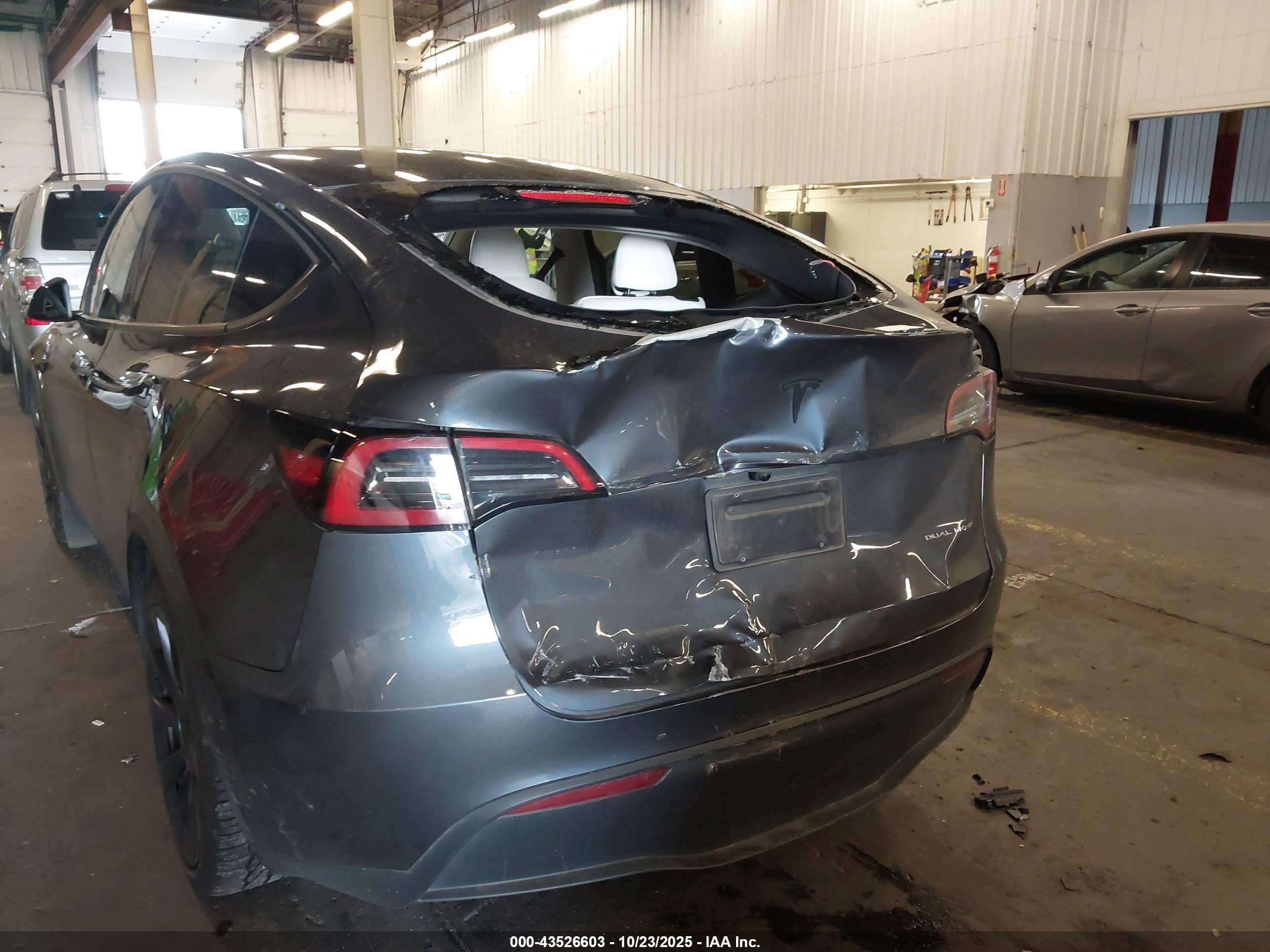 TESLA MODEL image 6