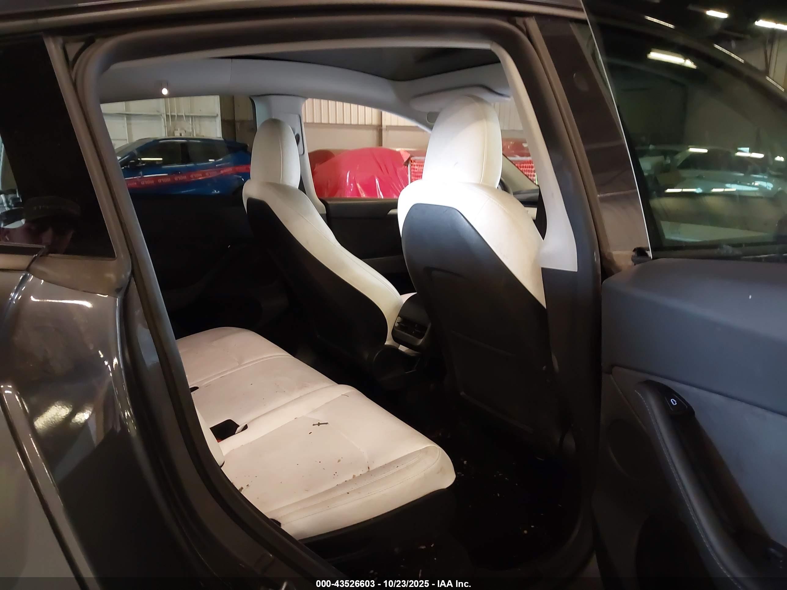 TESLA MODEL image 8