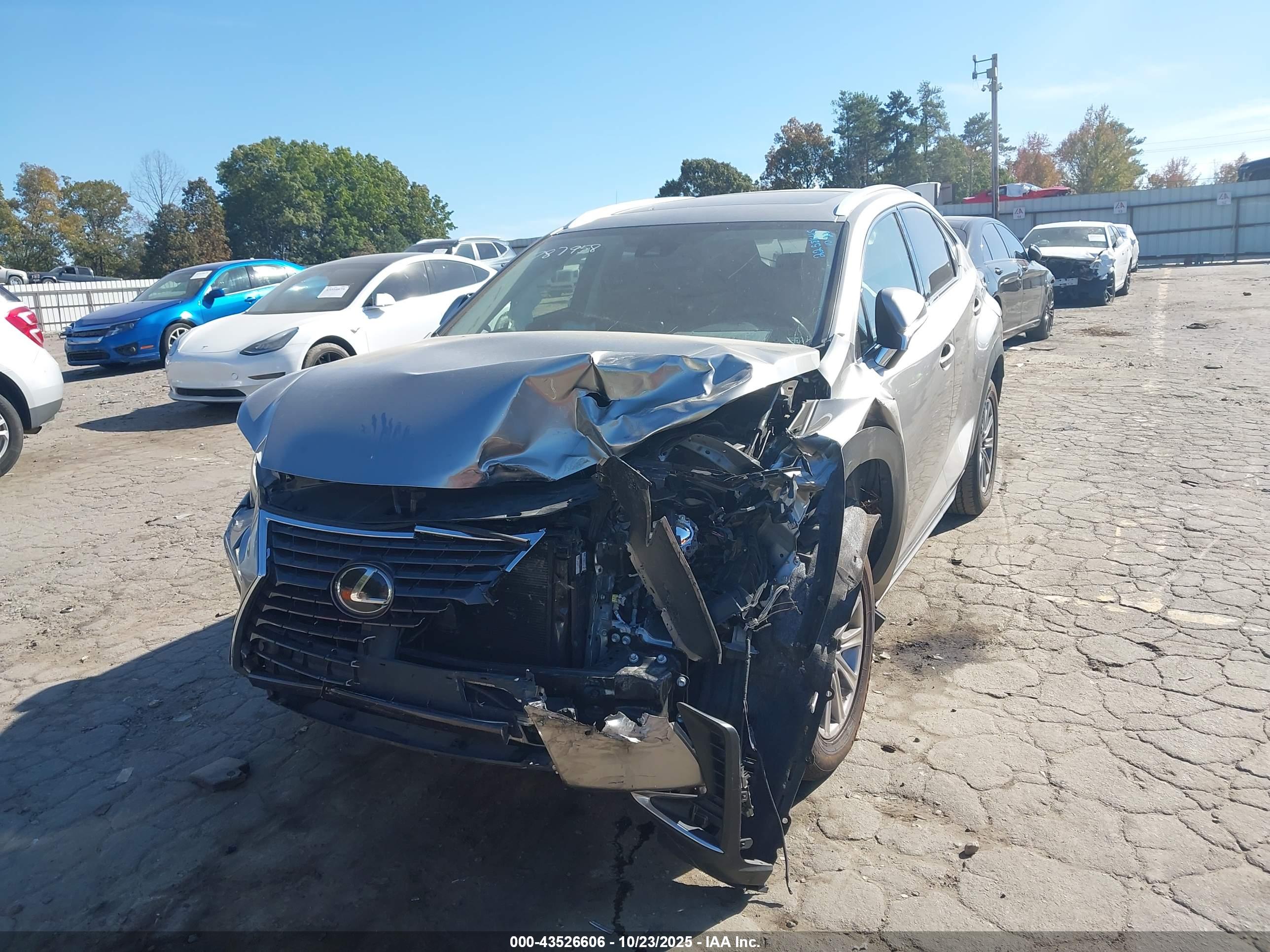 LEXUS NX image 2