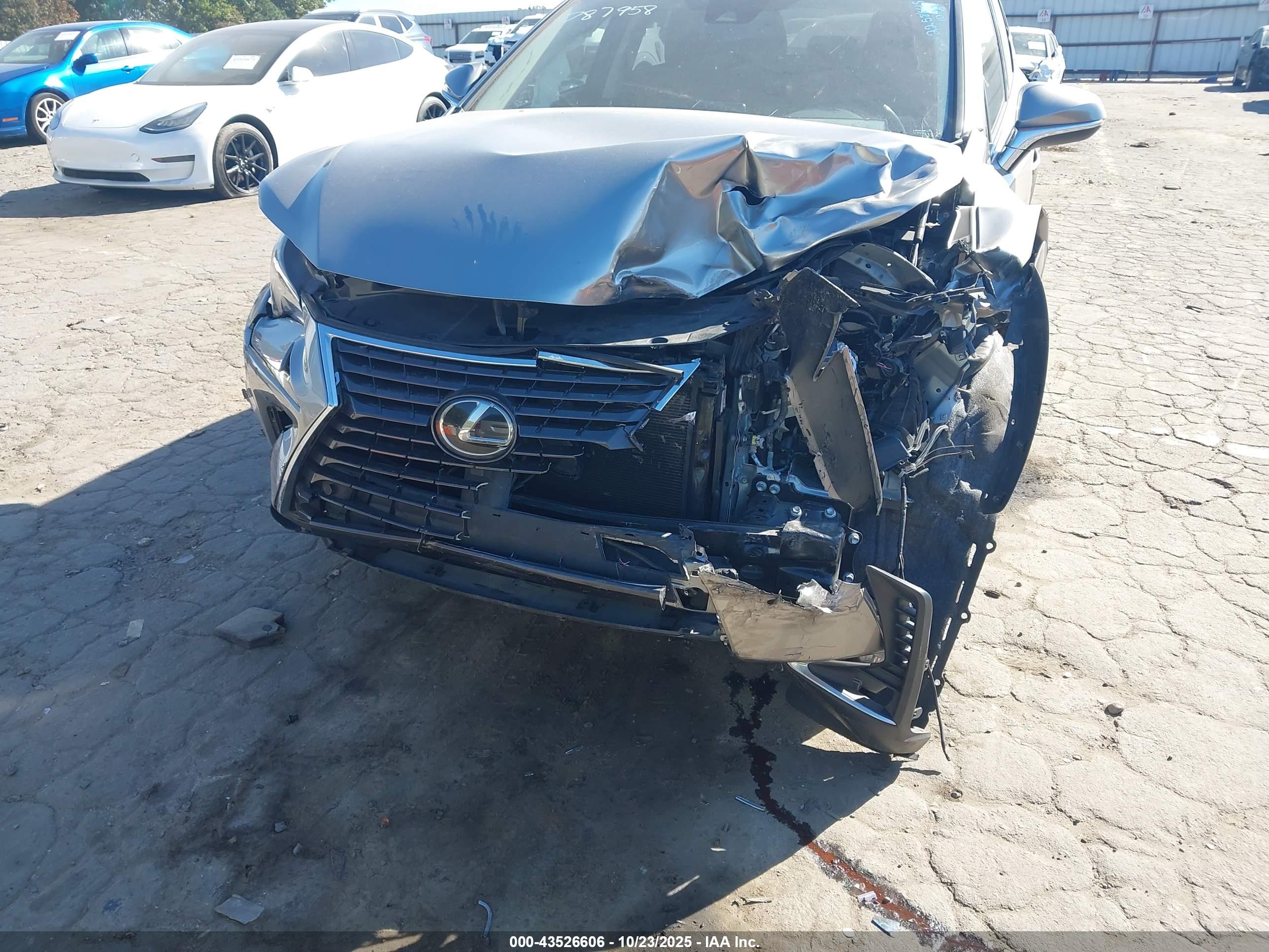 LEXUS NX image 6