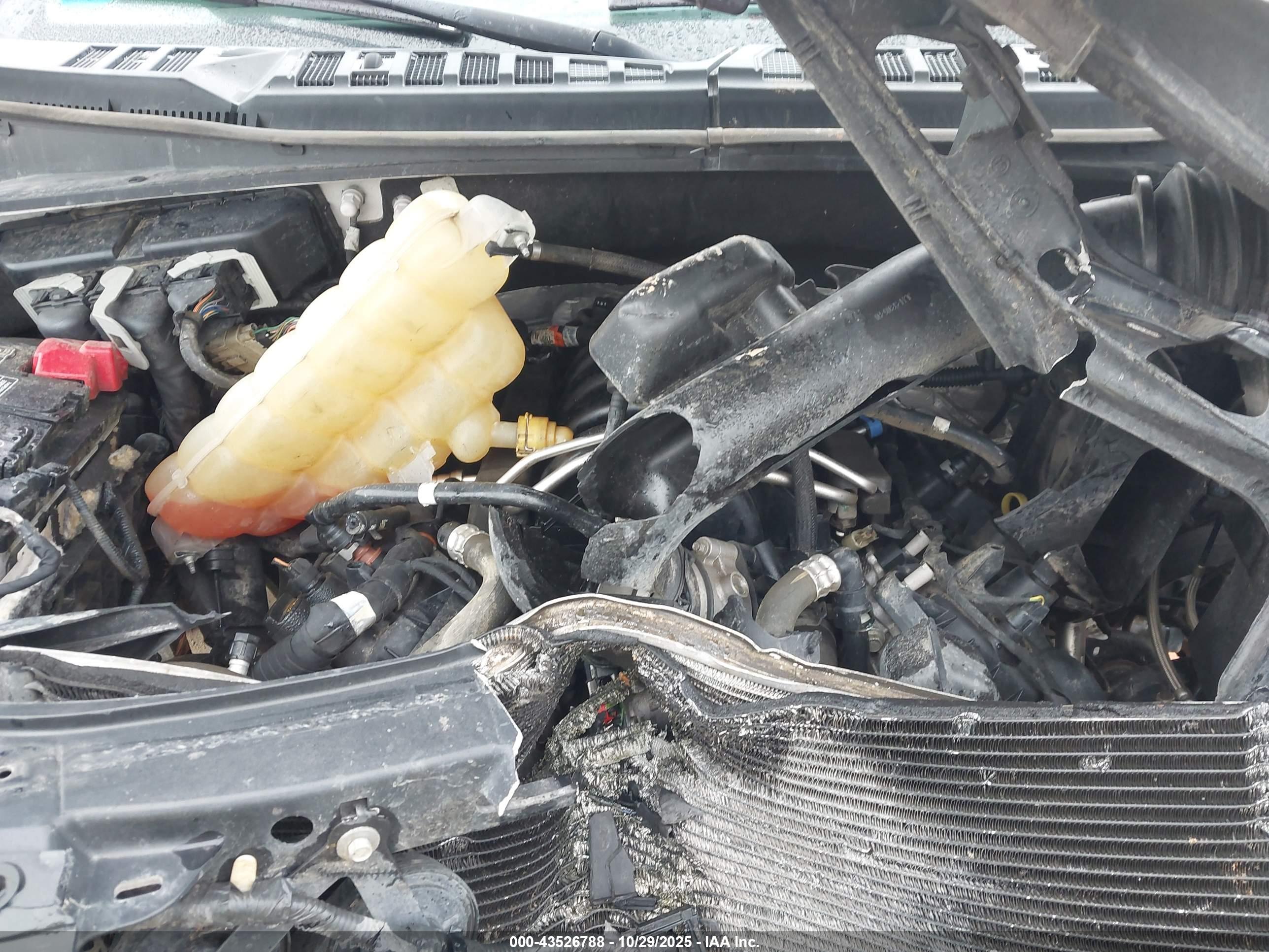 FORD F-150 image 10