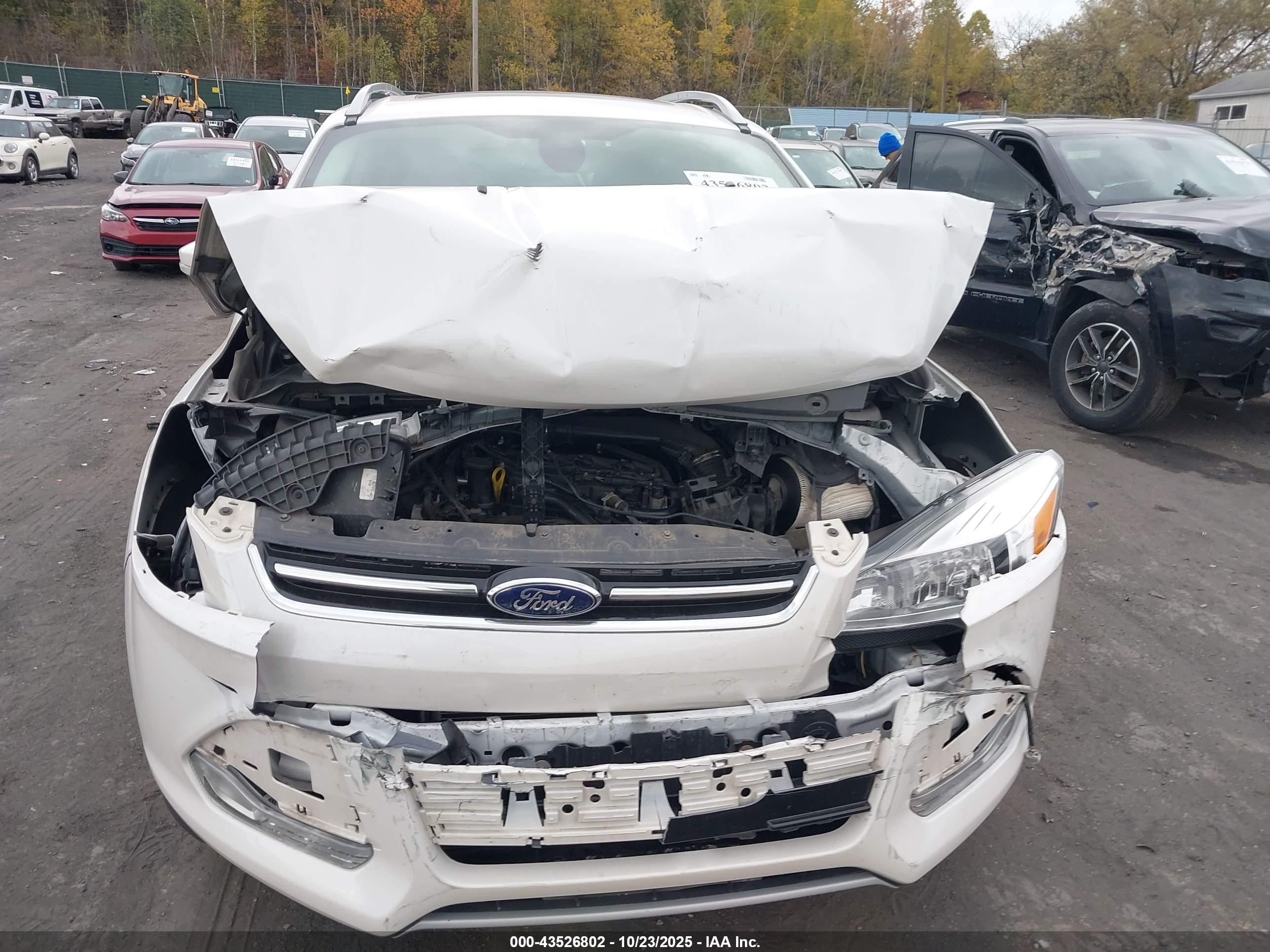 FORD ESCAPE image 6