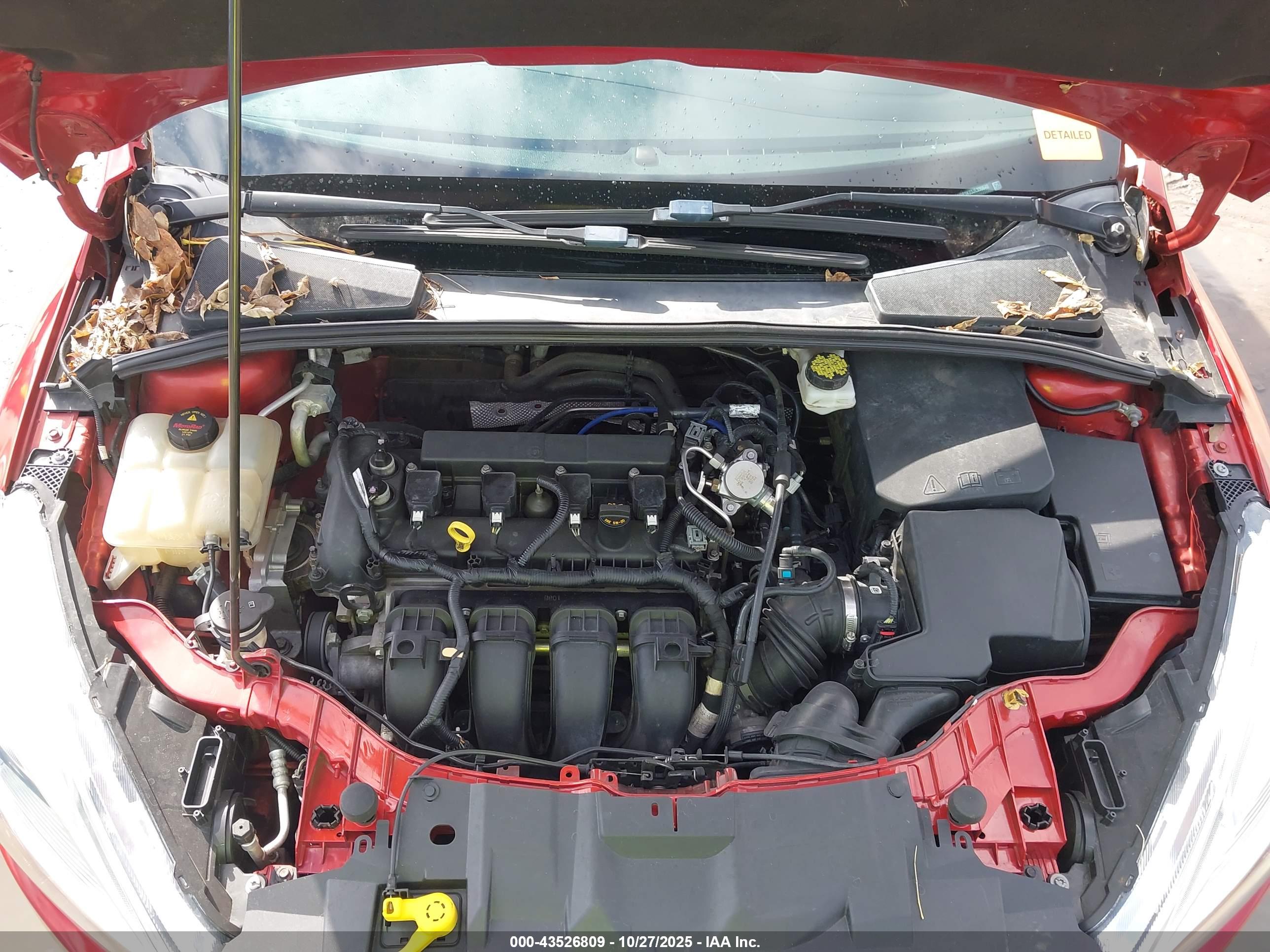 FORD FOCUS image 10