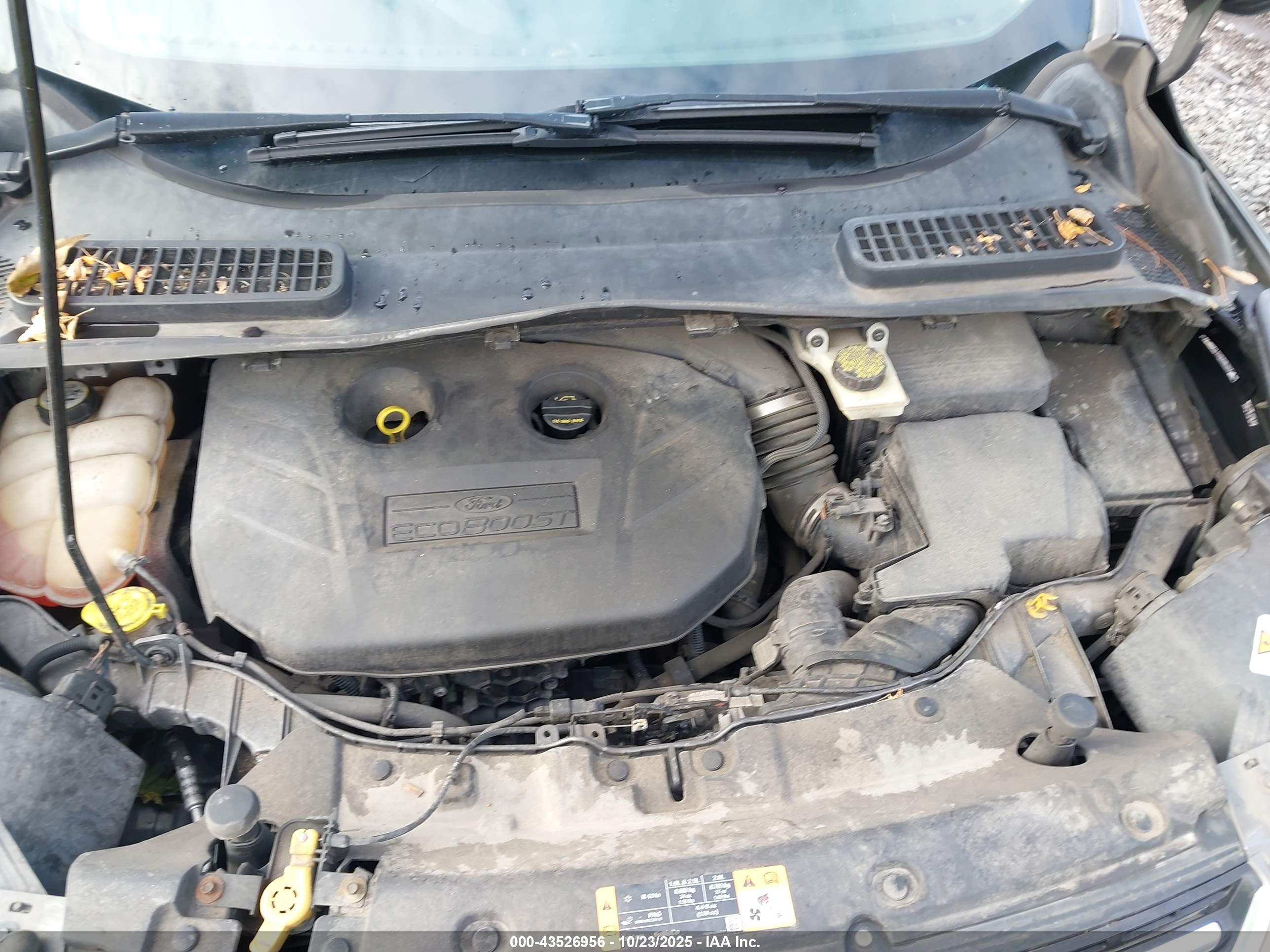 FORD ESCAPE image 10