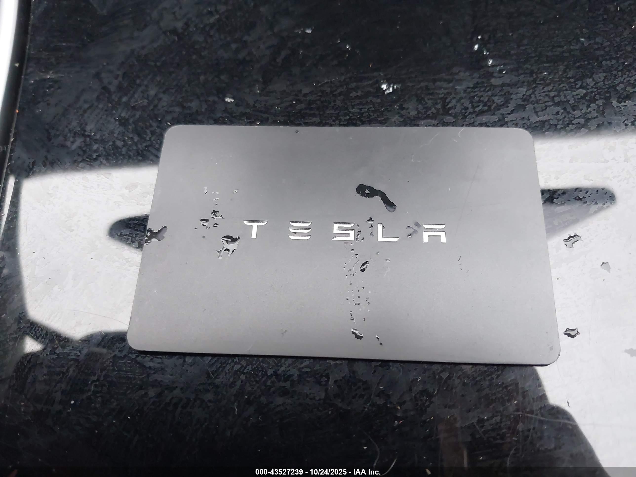 TESLA MODEL image 11
