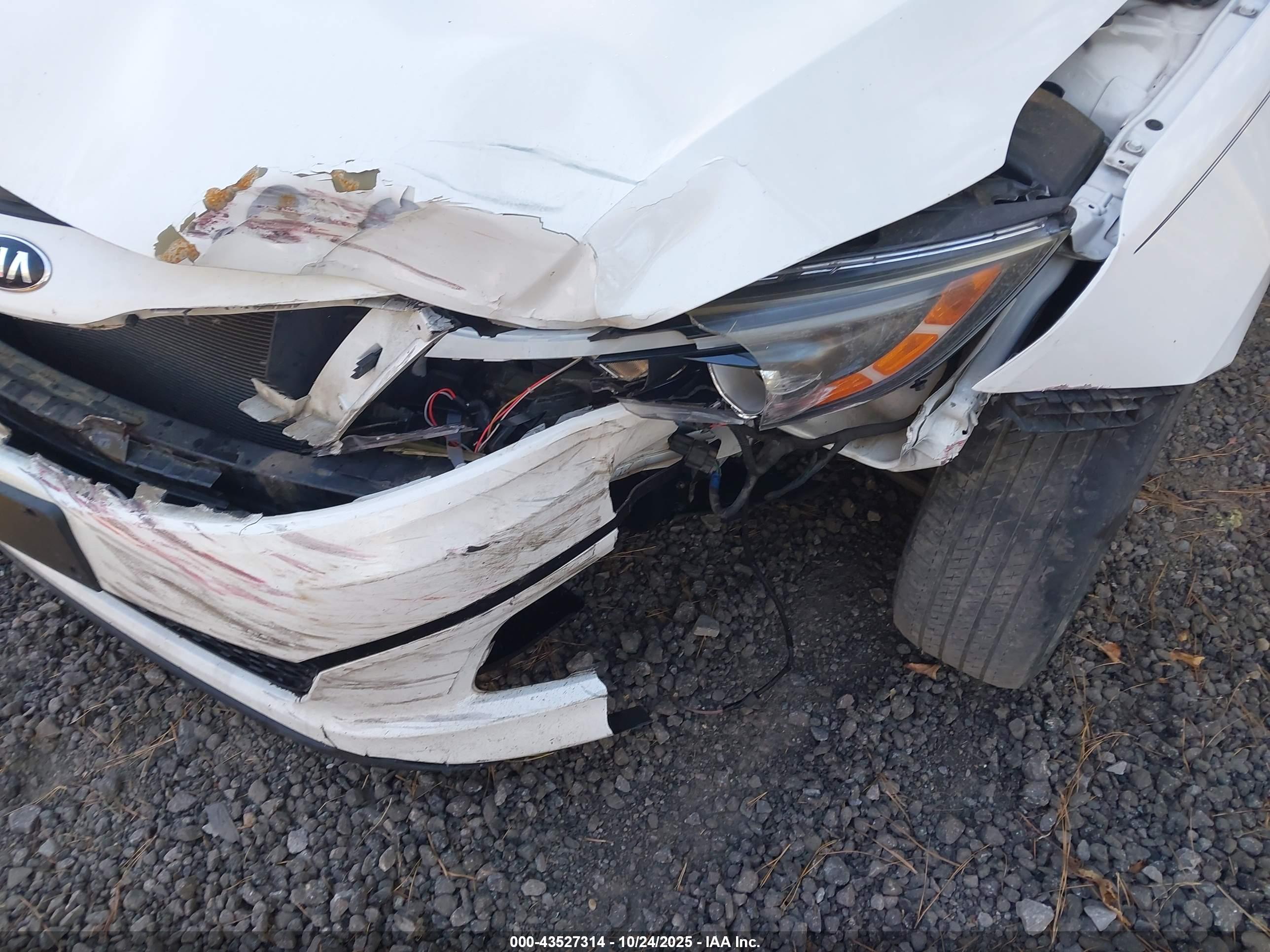 KIA OPTIMA image 6