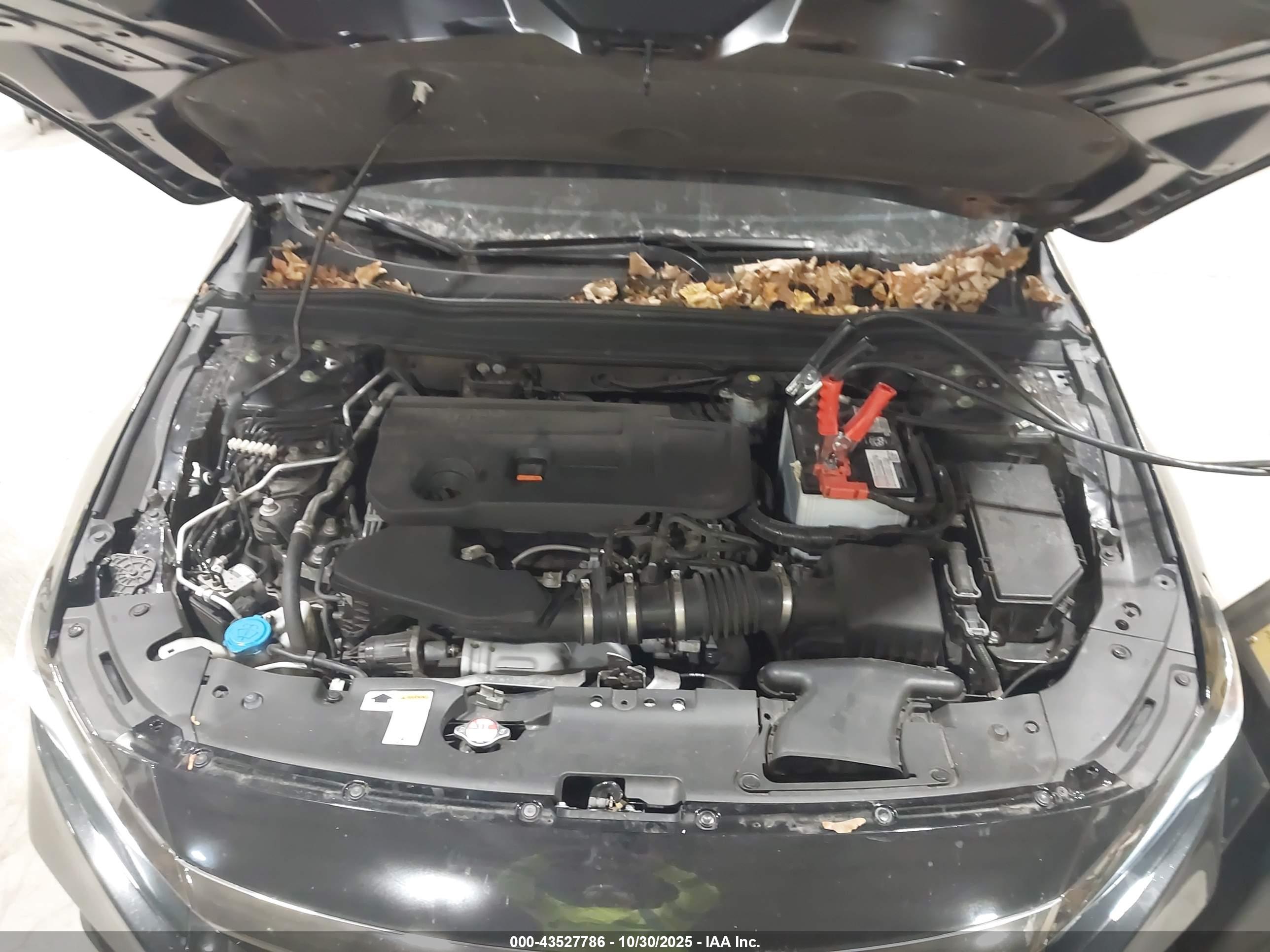 HONDA ACCORD image 10