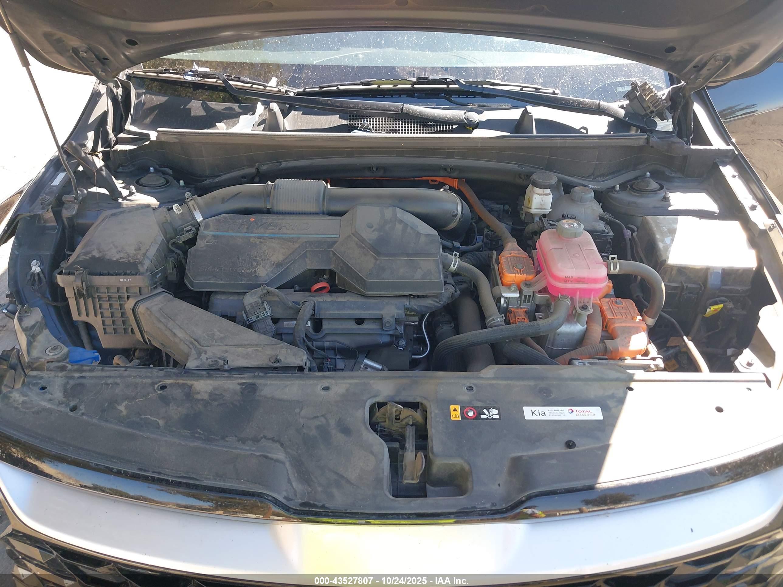 KIA SPORTAGE image 10