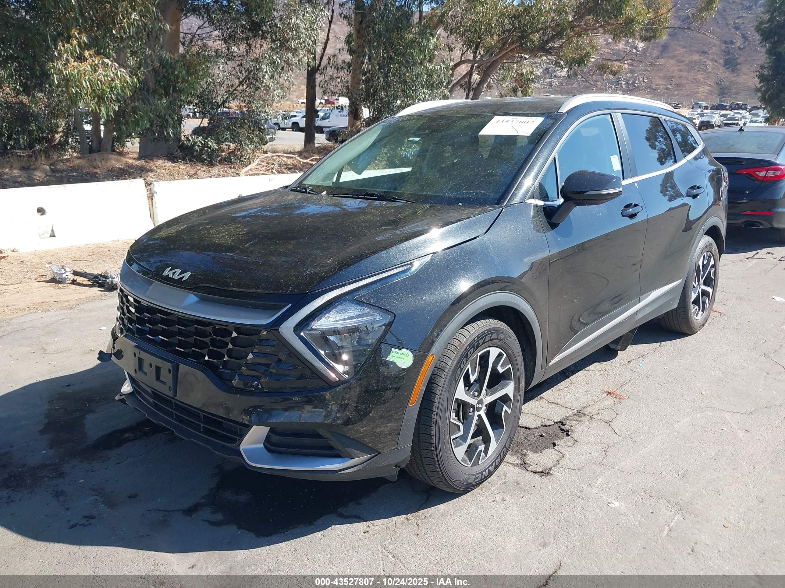 KIA SPORTAGE image 2