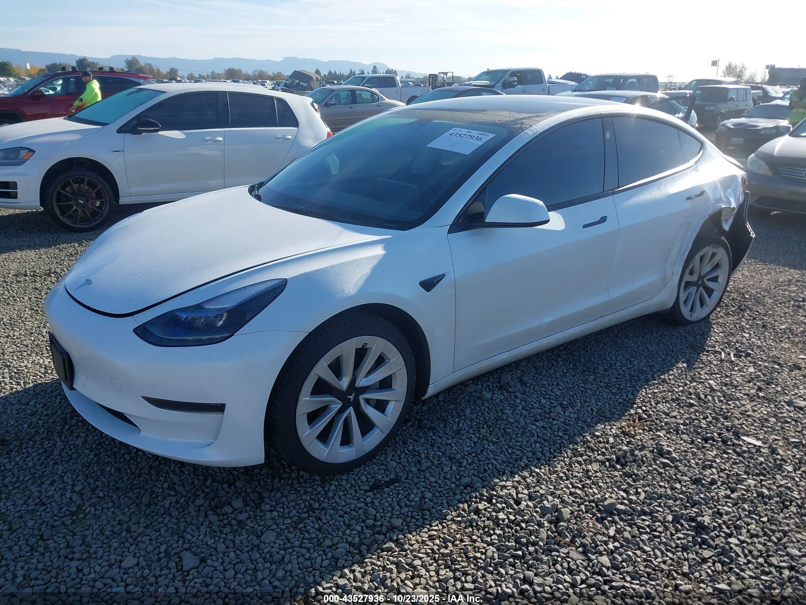 TESLA MODEL image 2