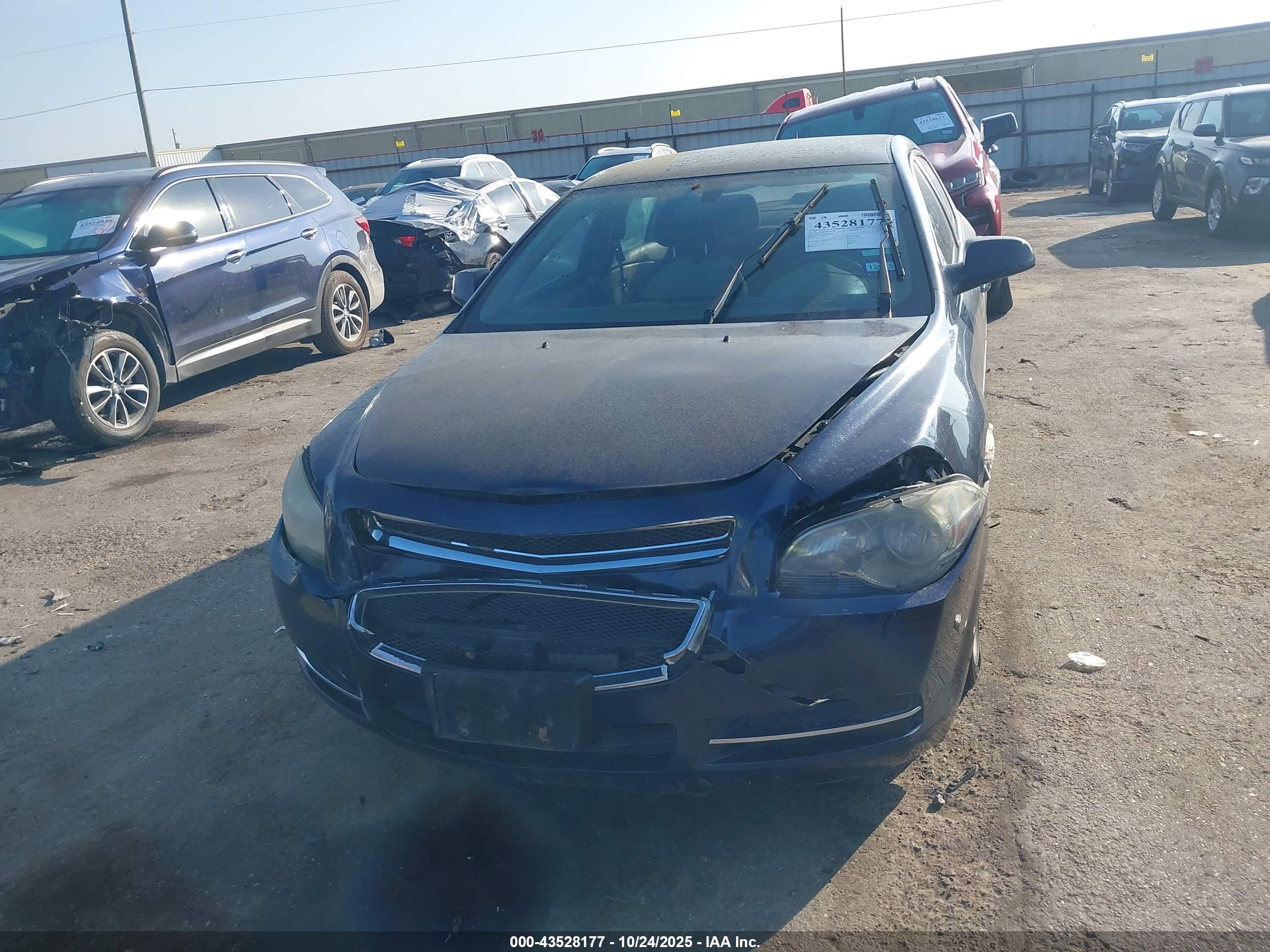 CHEVROLET MALIBU image 6