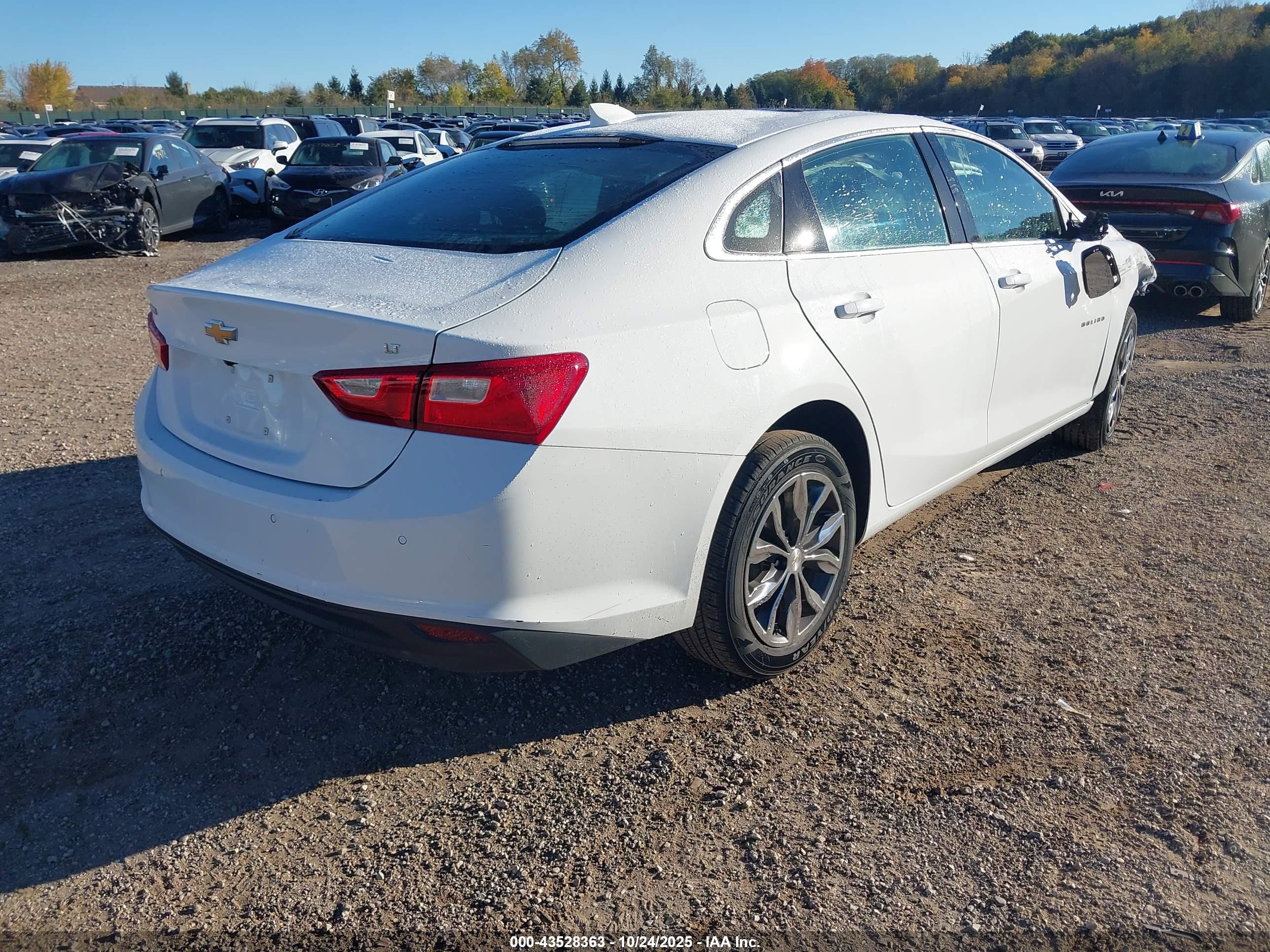 CHEVROLET MALIBU image 4