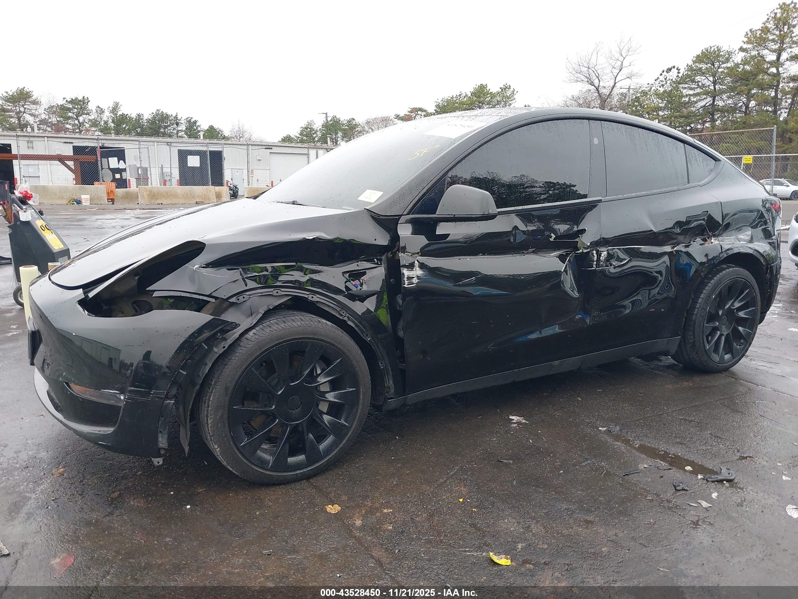 TESLA MODEL image 6