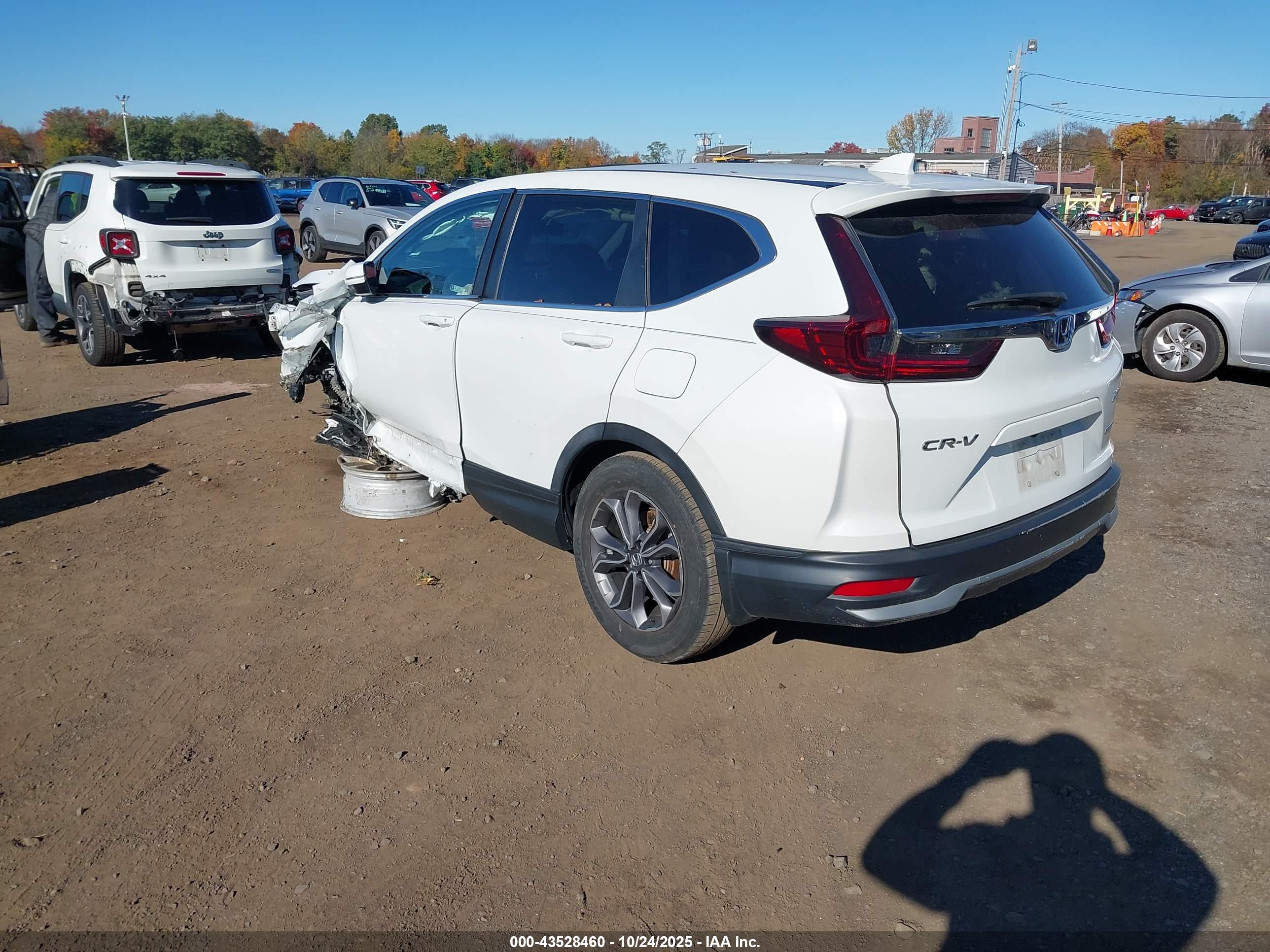 HONDA CR-V image 3