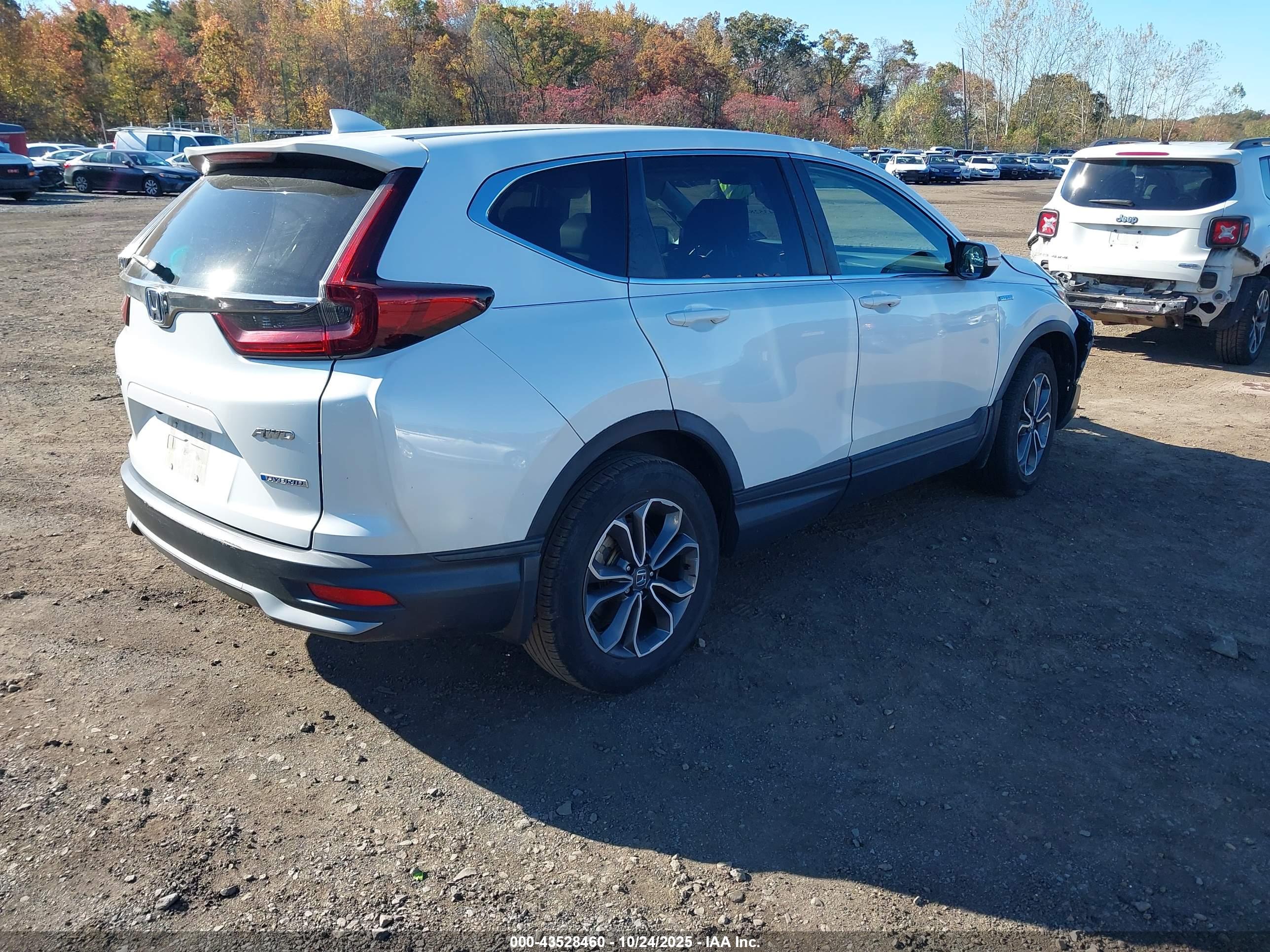 HONDA CR-V image 4